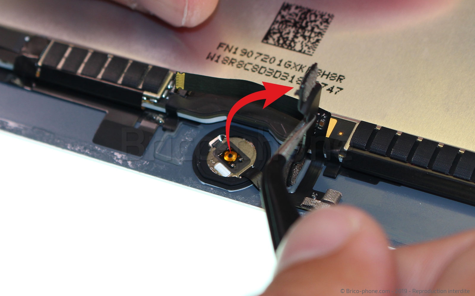 Changement d'écran (vitre+LCD) sur iPad Mini 5 photo 2