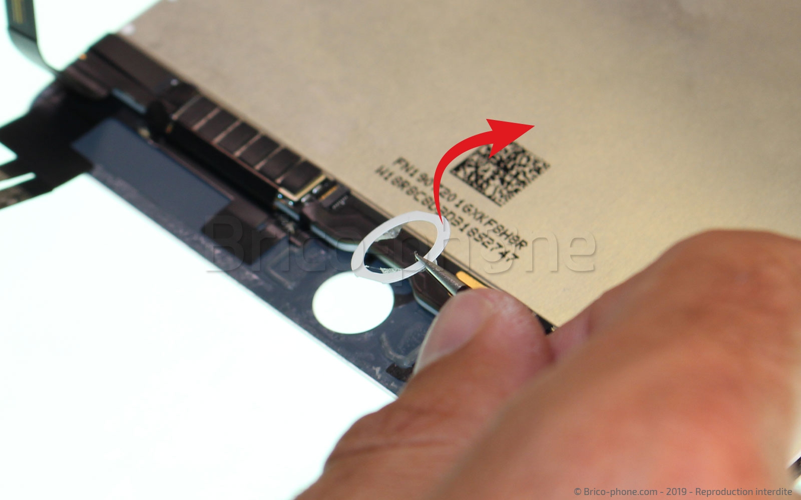 Changement d'écran (vitre+LCD) sur iPad Mini 5 photo 4