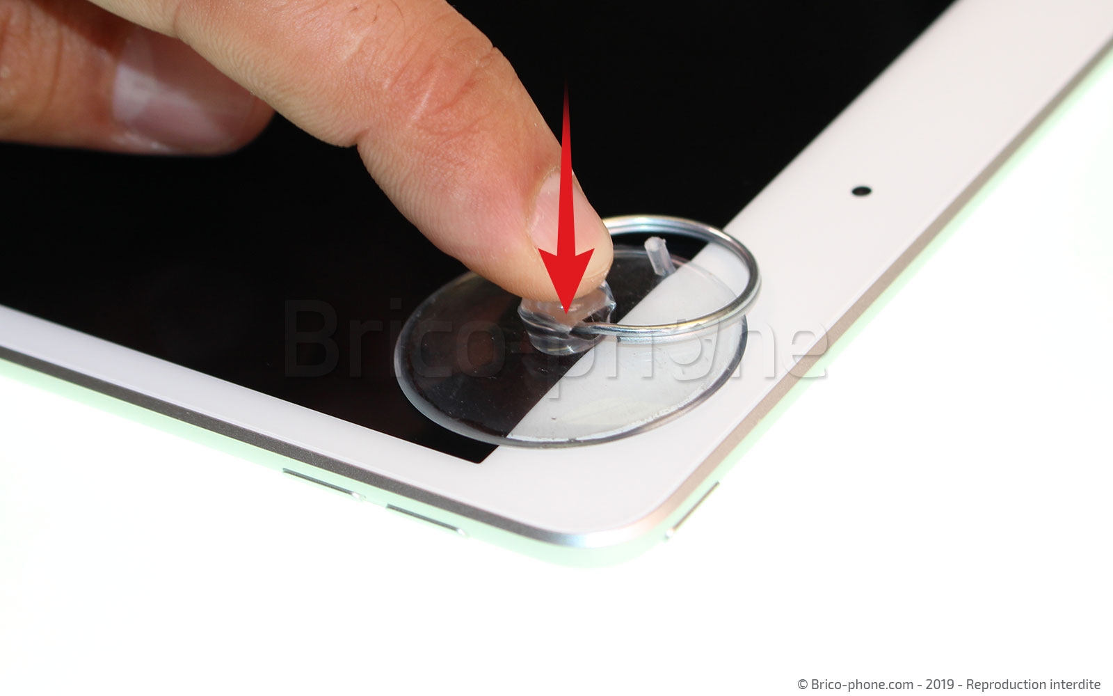 Changement de batterie sur iPad Mini 5 photo 1