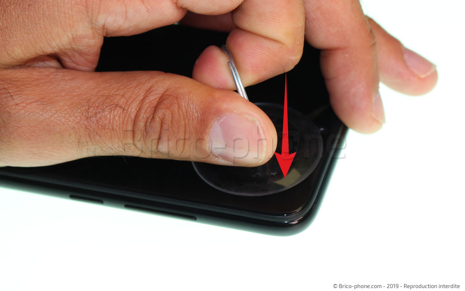 Démontage complet sur Redmi Note 7 photo 1