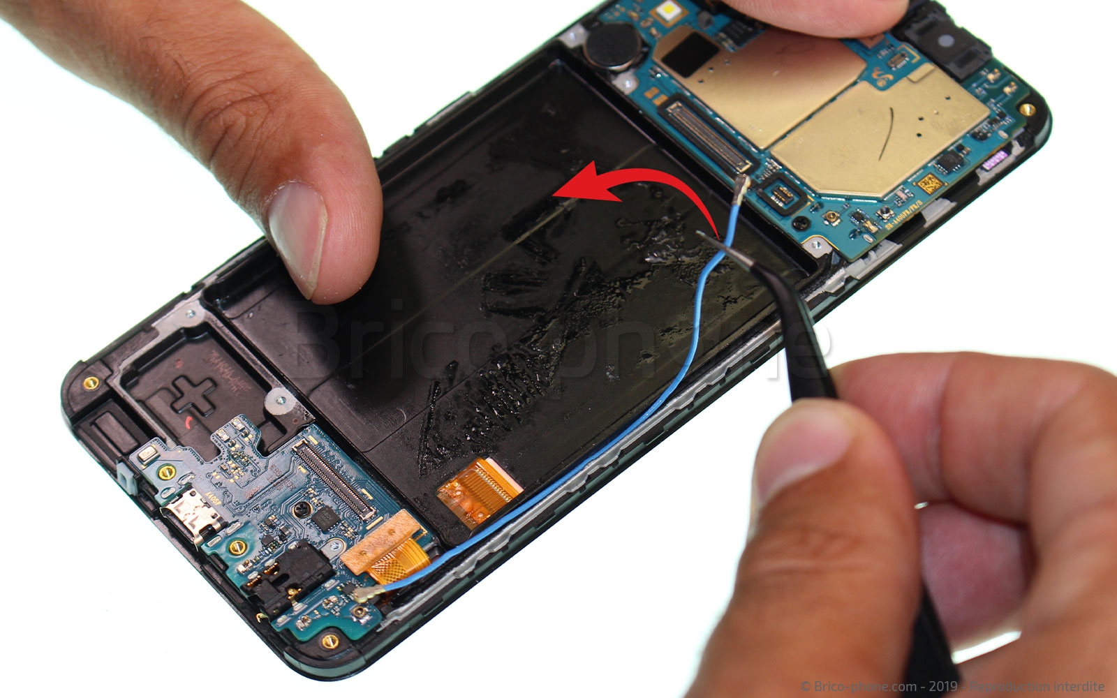 Démontage complet sur Galaxy A40 photo 3