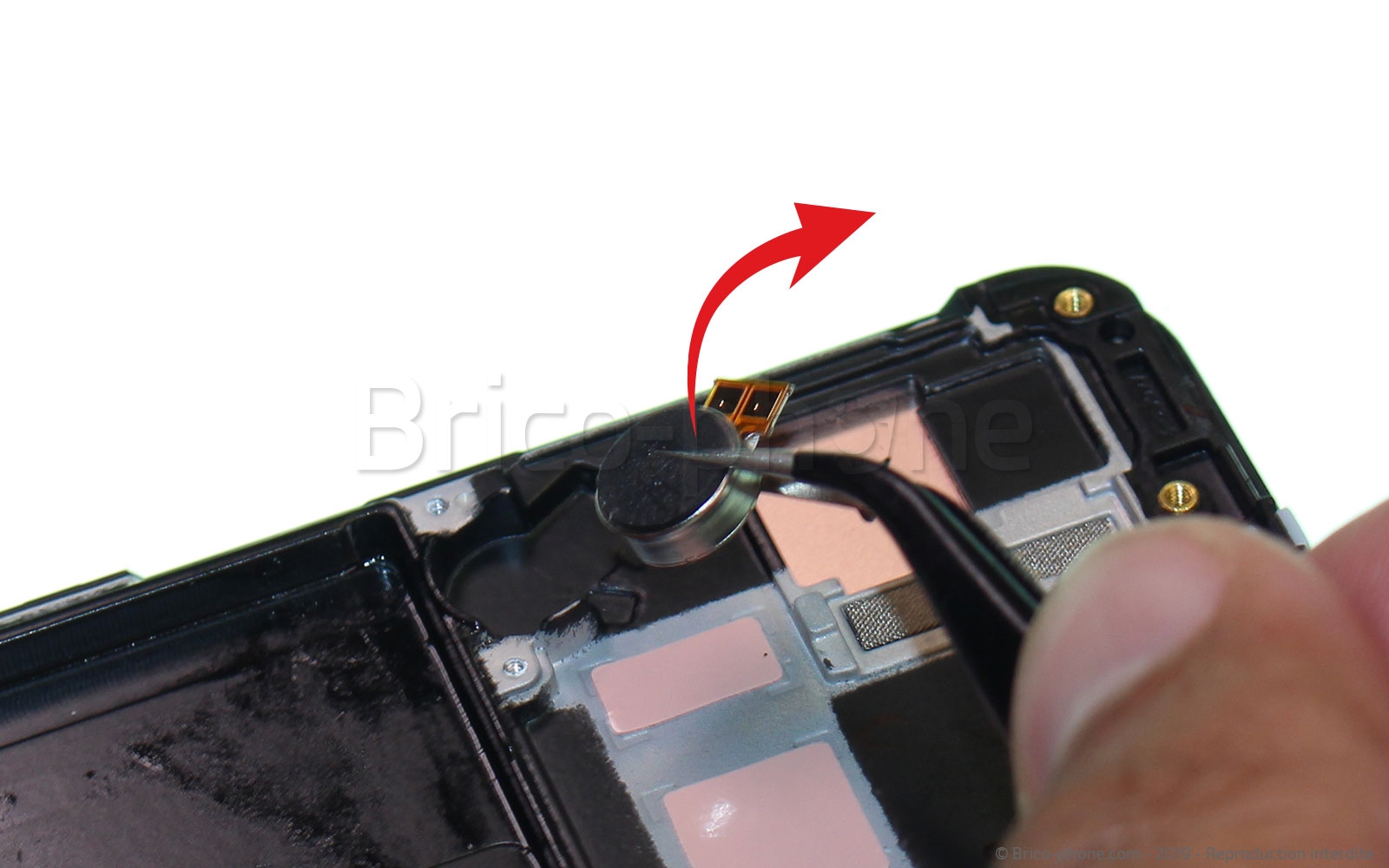 Démontage complet sur Galaxy A40 photo 2