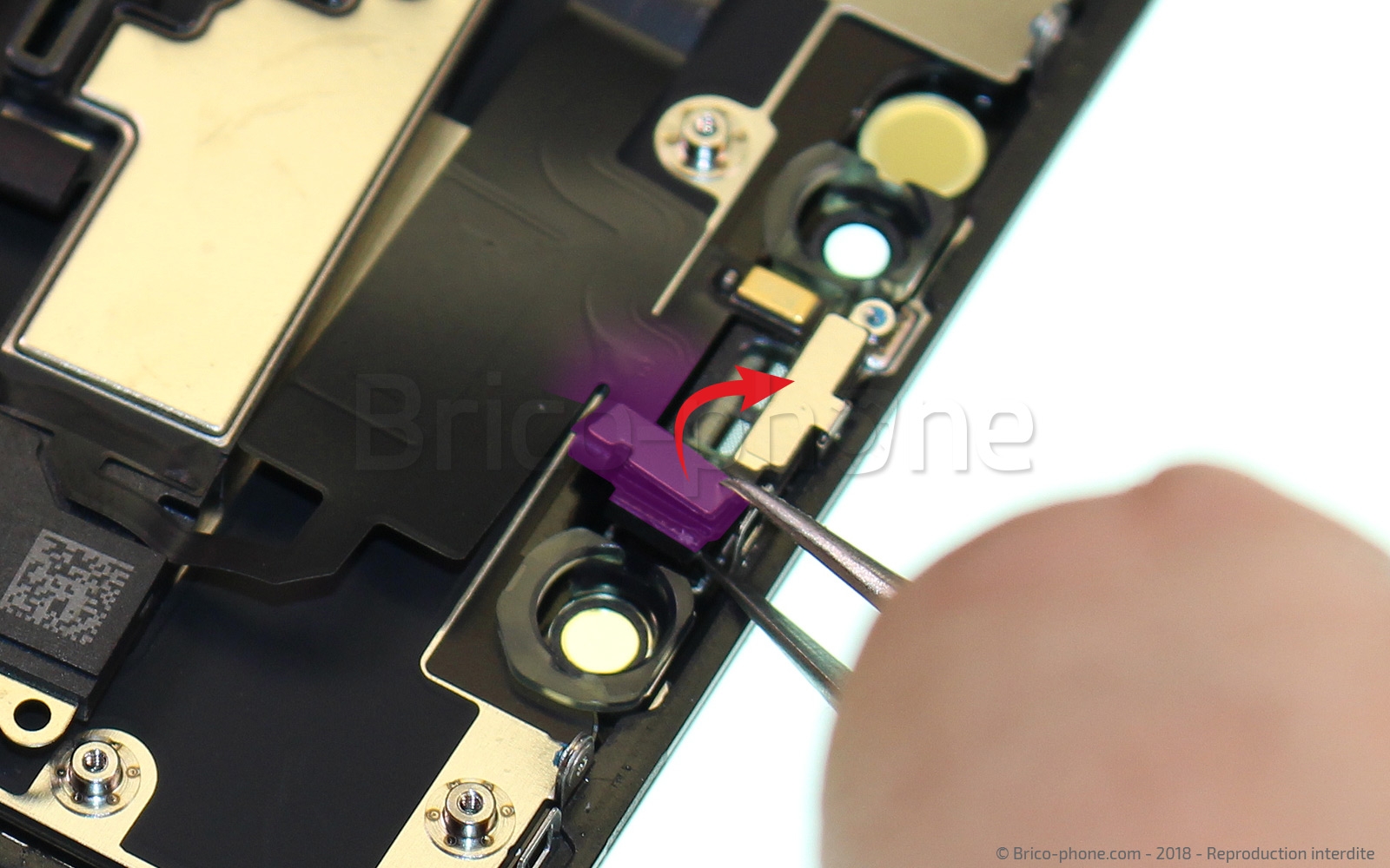 Changement de l'écran (vitre + LCD) sur iPhone XR photo 1