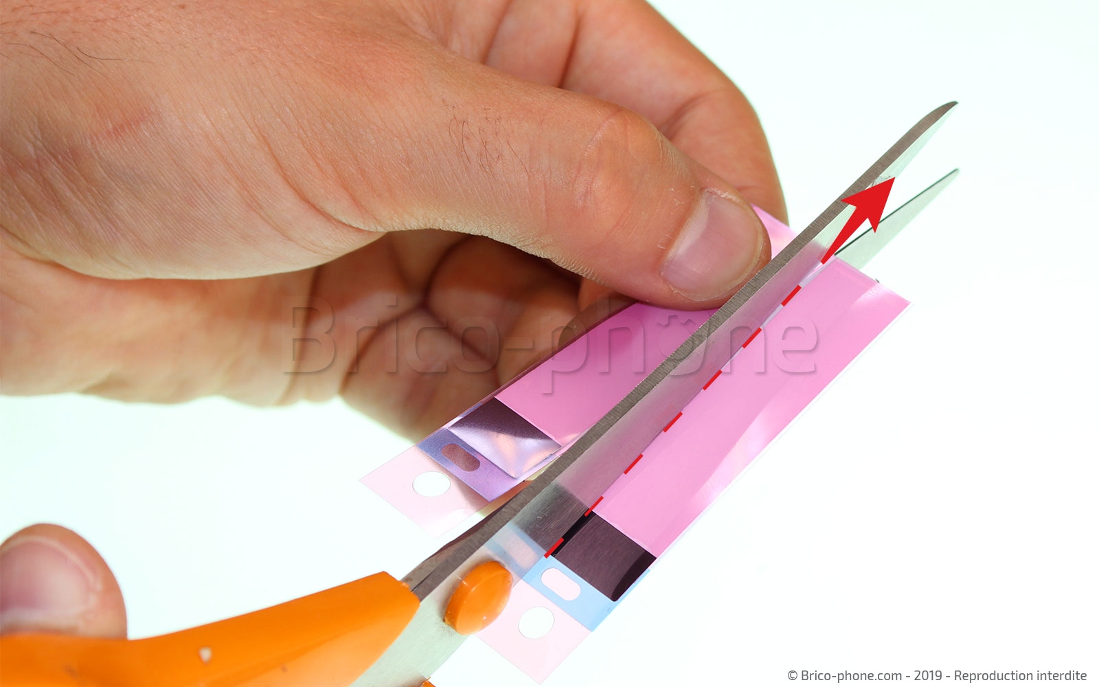 Démontage complet sur Galaxy A20e photo 3