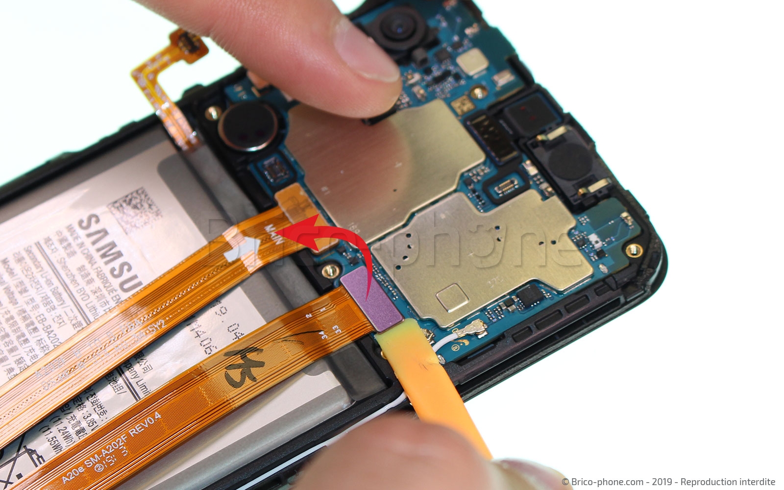 Démontage complet sur Galaxy A20e photo 2