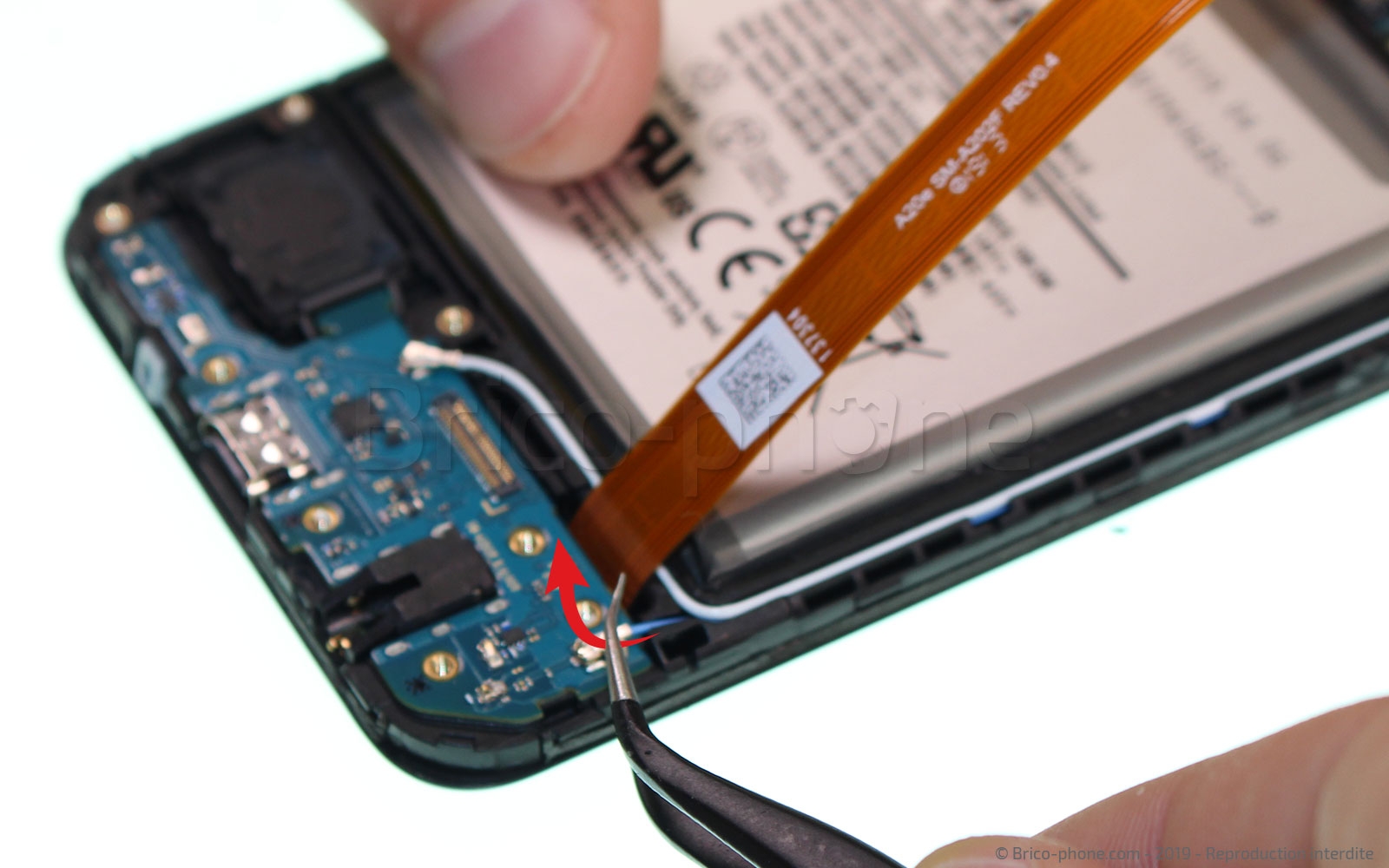 Démontage complet sur Galaxy A20e photo 1