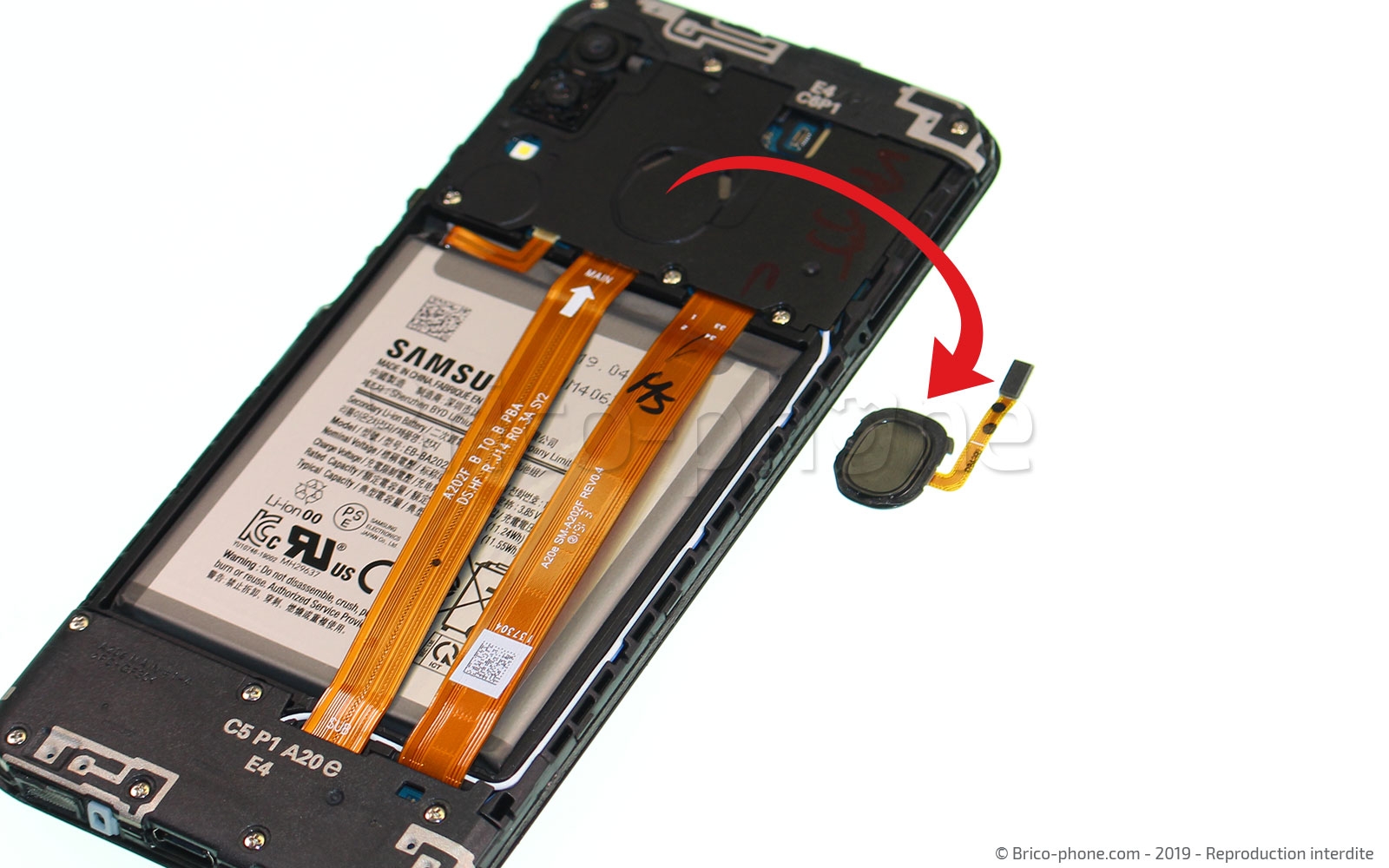 Démontage complet sur Galaxy A20e photo 3