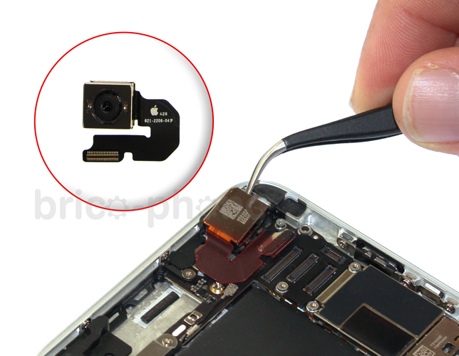 Changement d'antenne WiFi sur iPhone 6 Plus photo 1