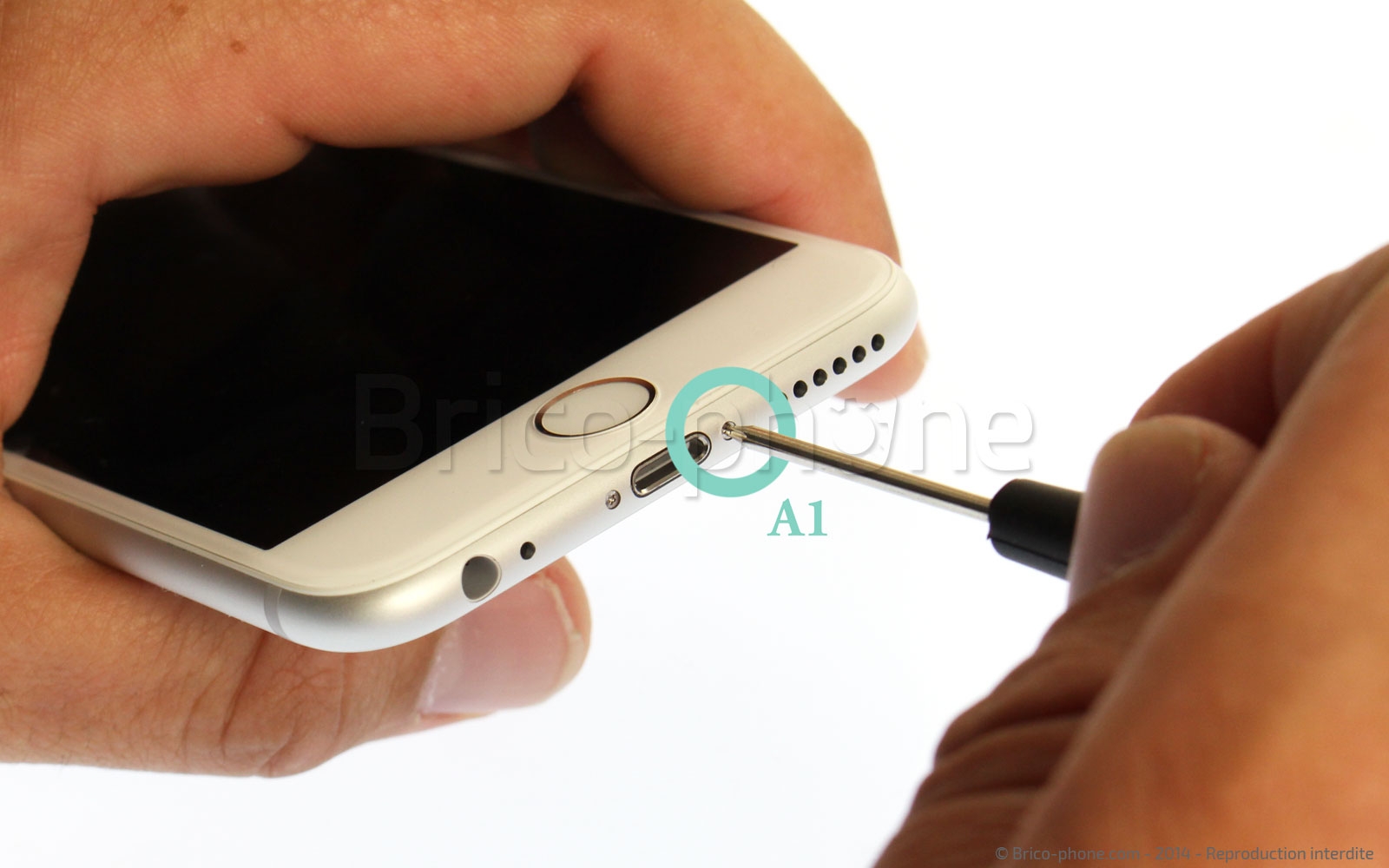 Changement d'écran (vitre+LCD) sans éléments prémontés sur iPhone 6 photo 1