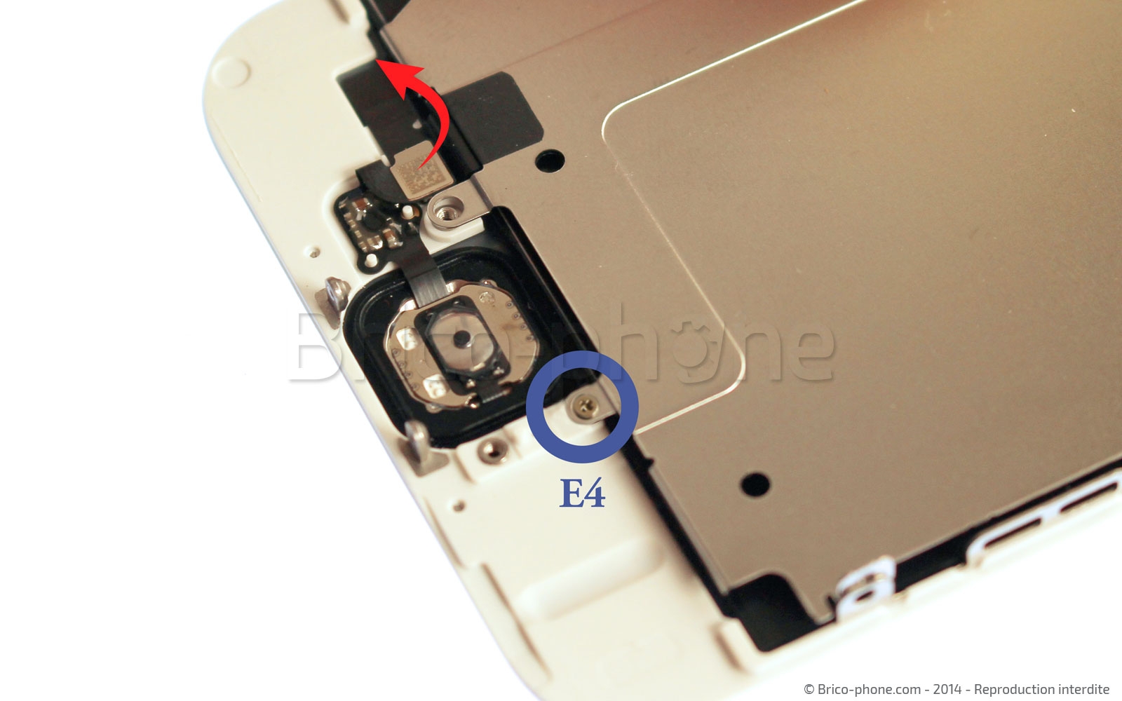 Changement d'écran (vitre+LCD) sans éléments prémontés sur iPhone 6 photo 2