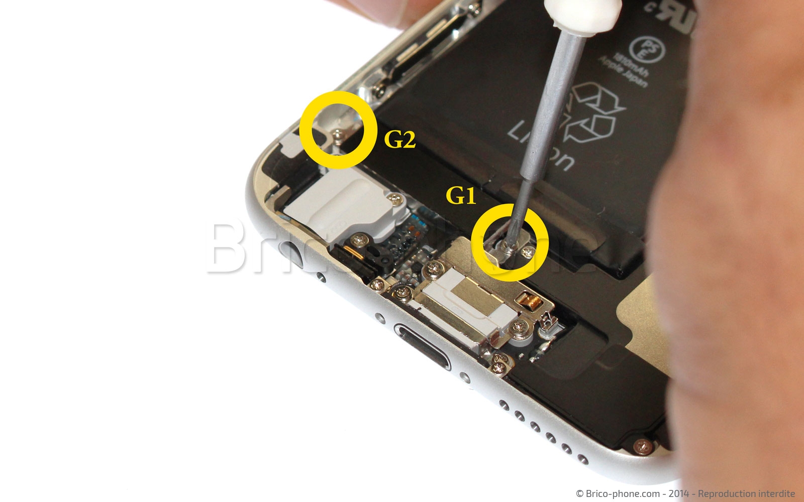 Changement de batterie sur iPhone 6 photo 1
