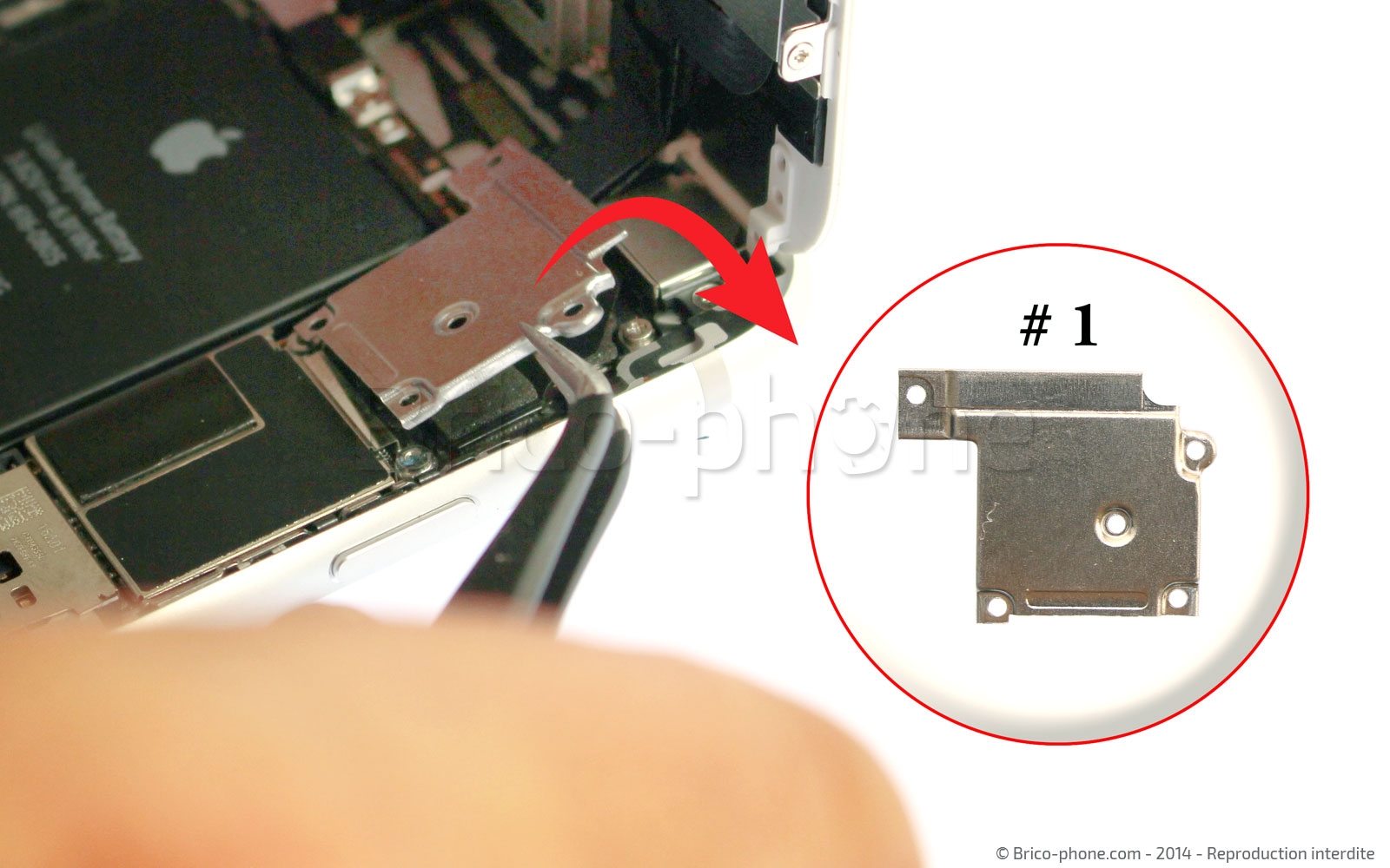Changement du connecteur de charge sur iPhone 6 photo 3