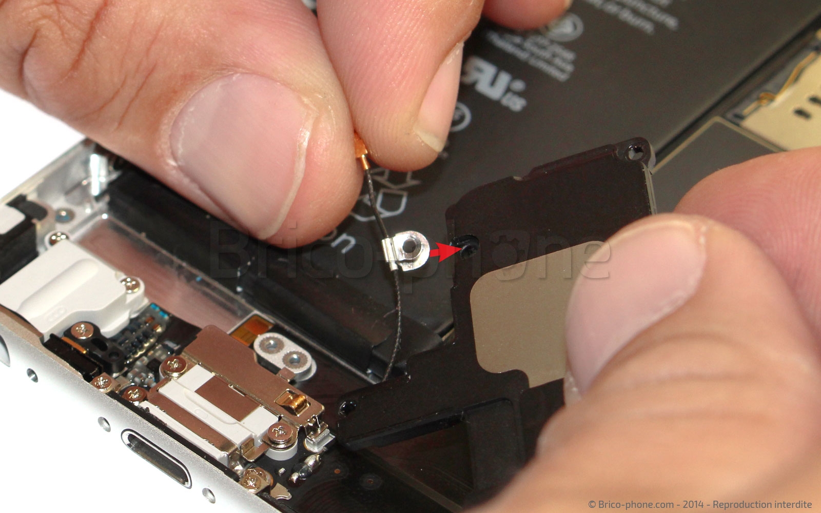 Changement du connecteur de charge sur iPhone 6 photo 1