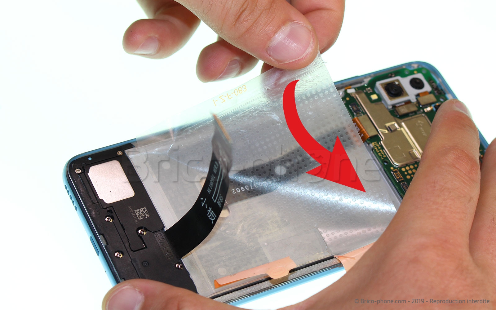 Changement de batterie sur Honor 10 Lite photo 3