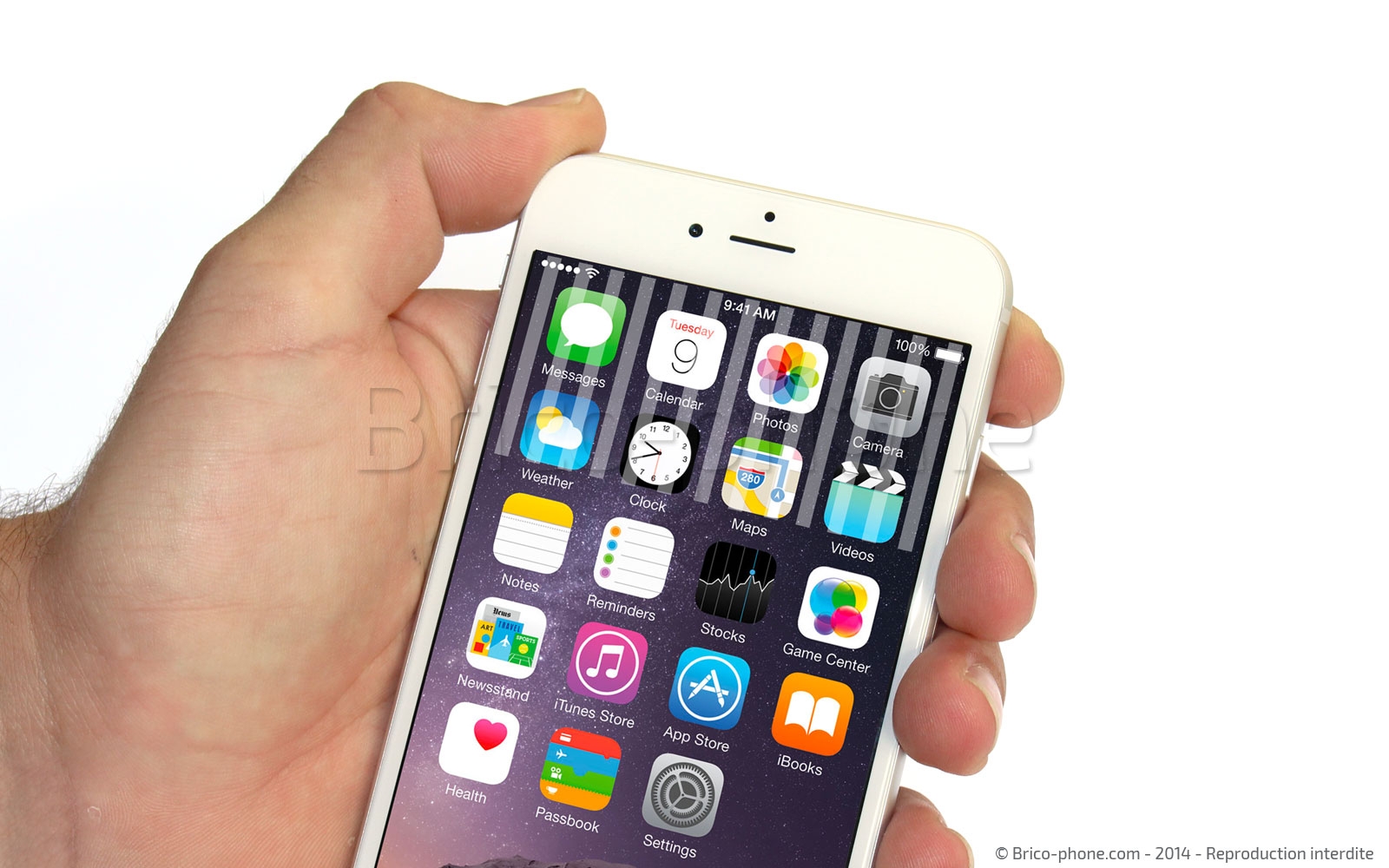 Changement du haut-parleur interne sur iPhone 6 photo 1