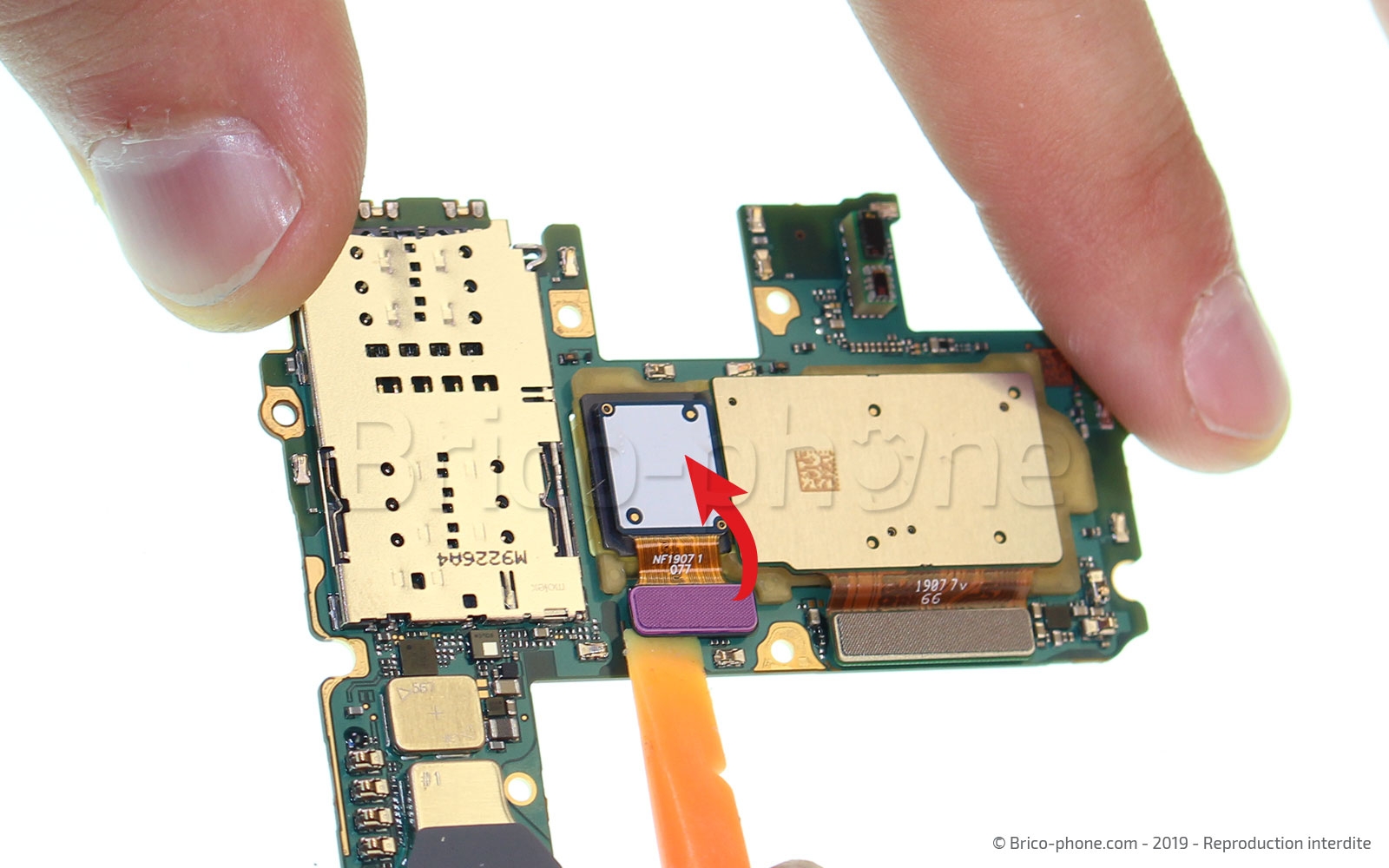 Démontage complet sur Galaxy S10 Plus photo 1