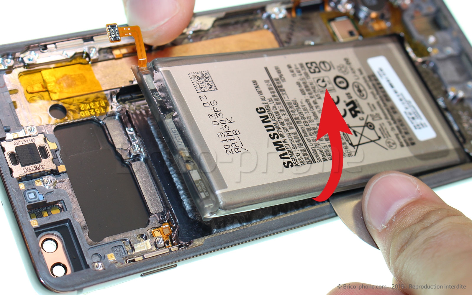 Démontage complet sur Galaxy S10 Plus photo 1