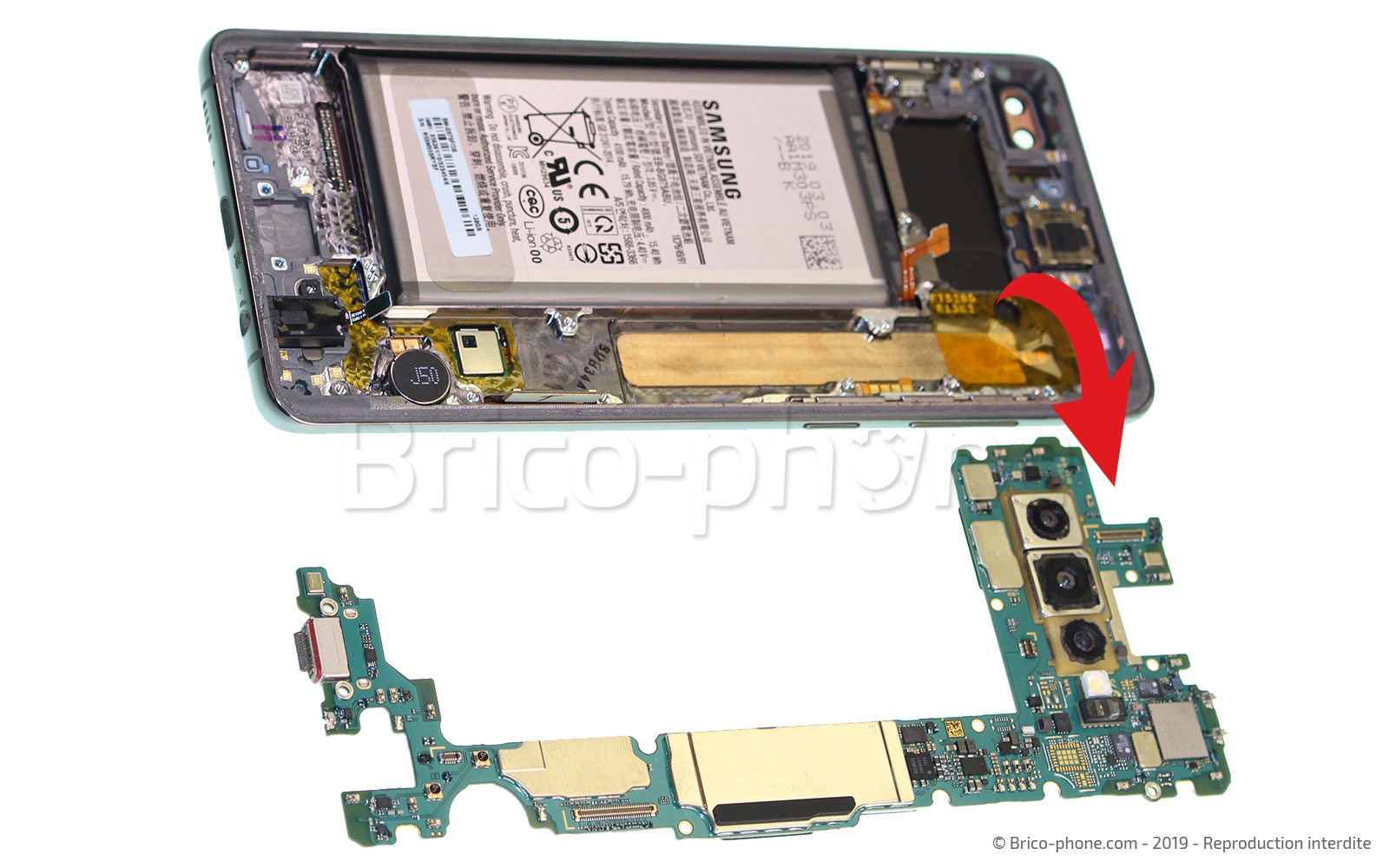 Démontage complet sur Galaxy S10 Plus photo 4