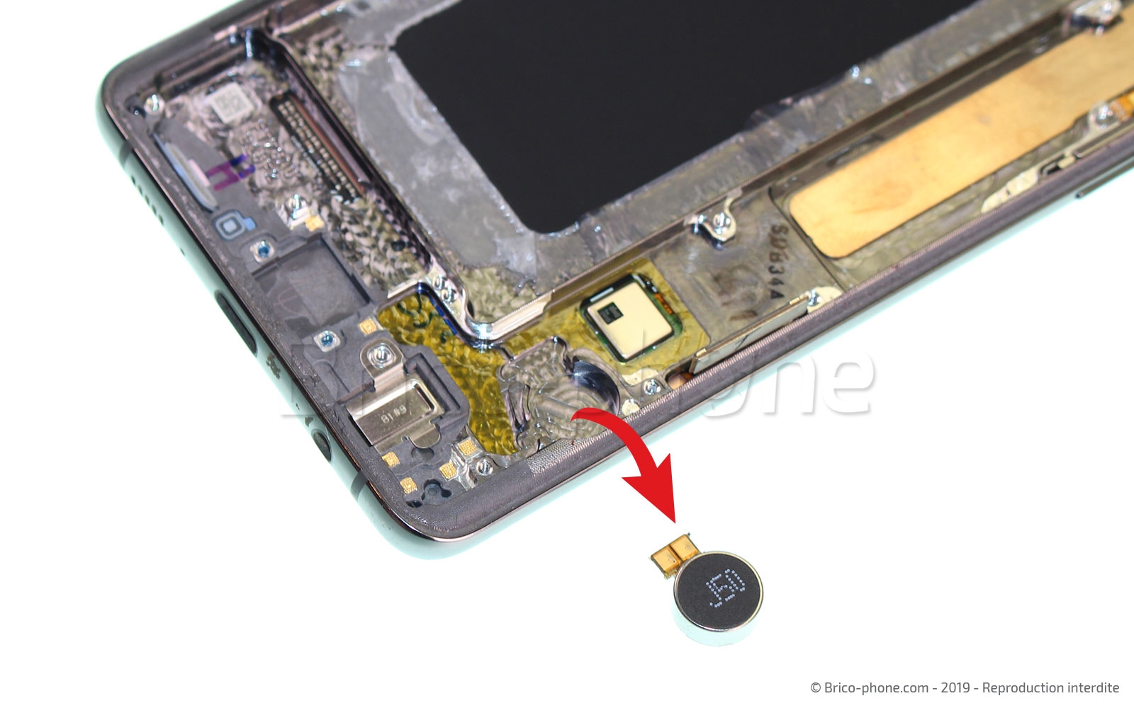 Démontage complet sur Galaxy S10 Plus photo 2