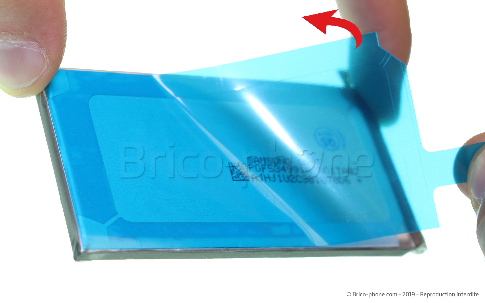 Changement de batterie sur Galaxy S10 Plus photo 2