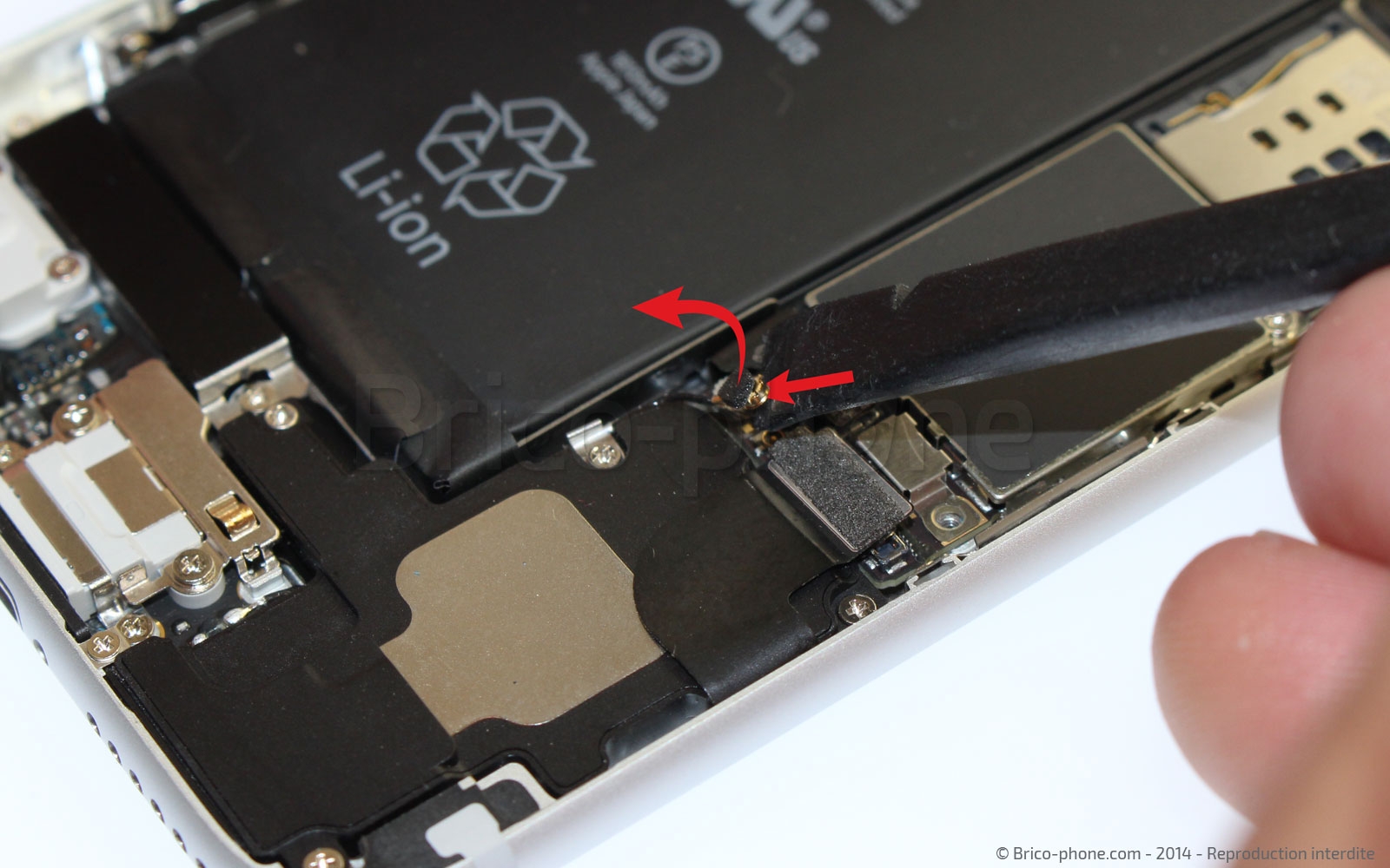 Changement du haut-parleur externe sur iPhone 6 photo 2