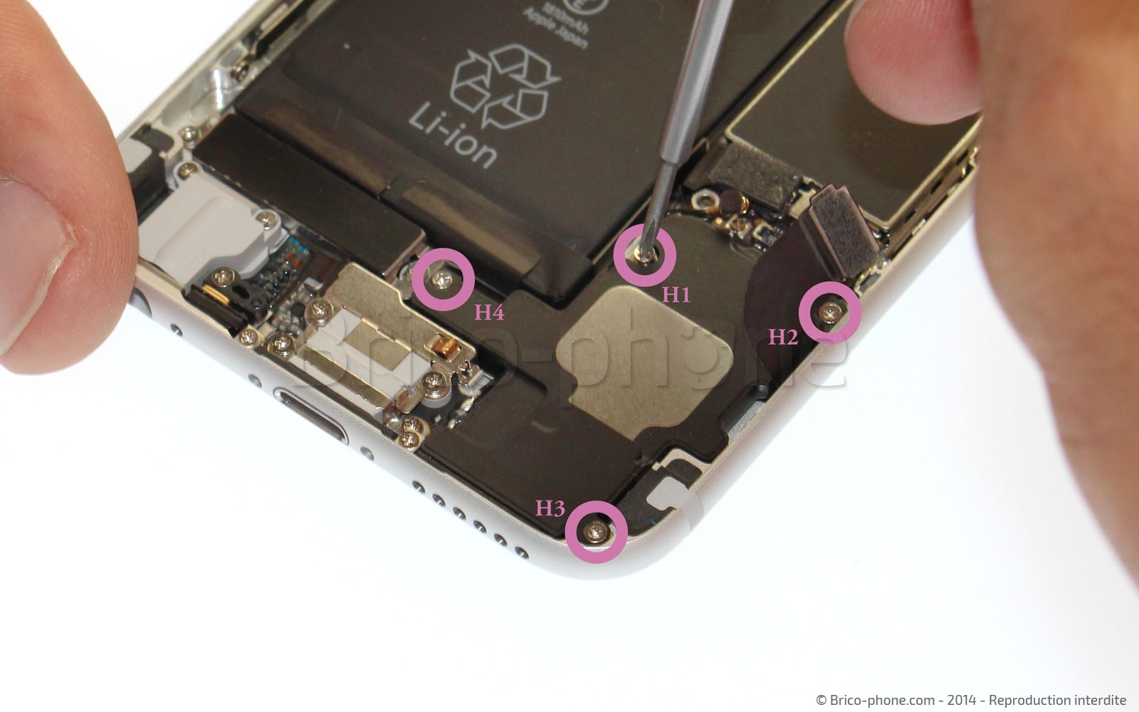 Changement du haut-parleur externe sur iPhone 6 photo 1