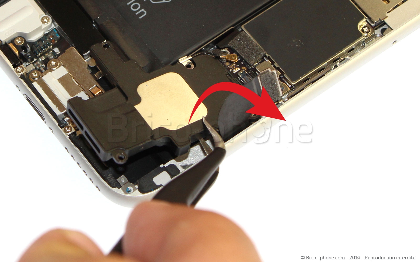 Changement du haut-parleur externe sur iPhone 6 photo 3