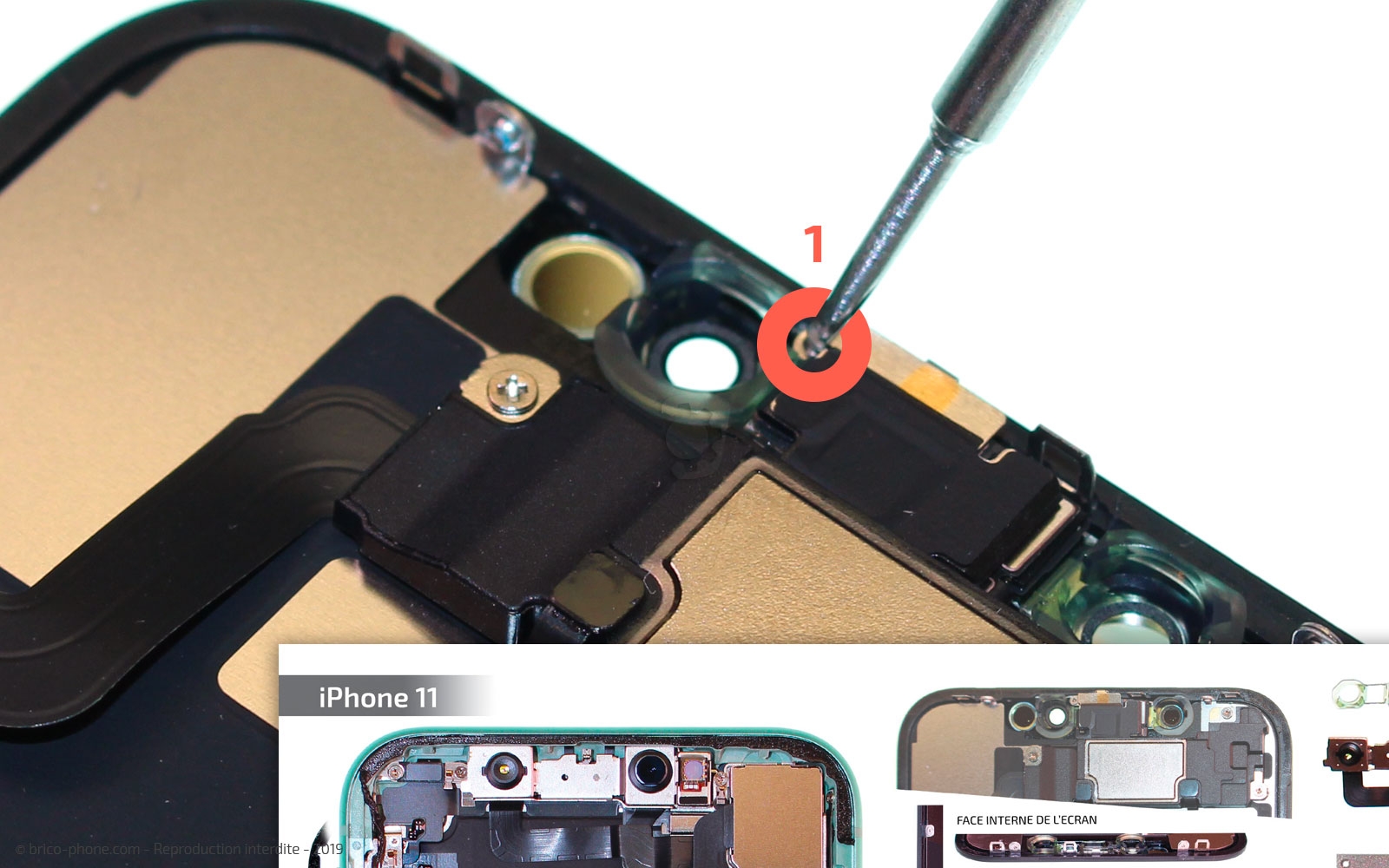 Remplacer l'écran (vitre et LCD) sur iPhone 11 photo 2
