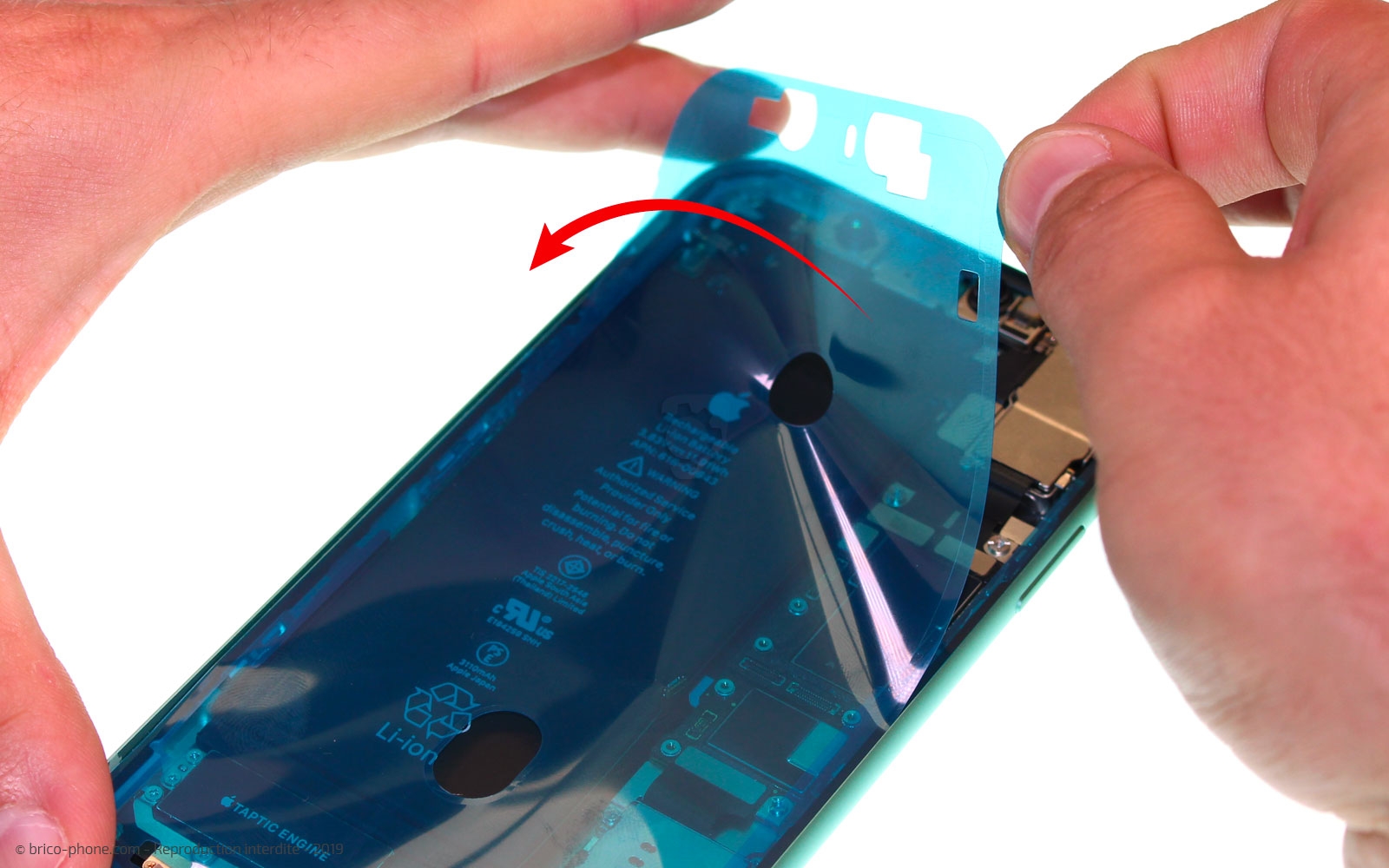 Remplacer l'écran (vitre et LCD) sur iPhone 11 photo 3