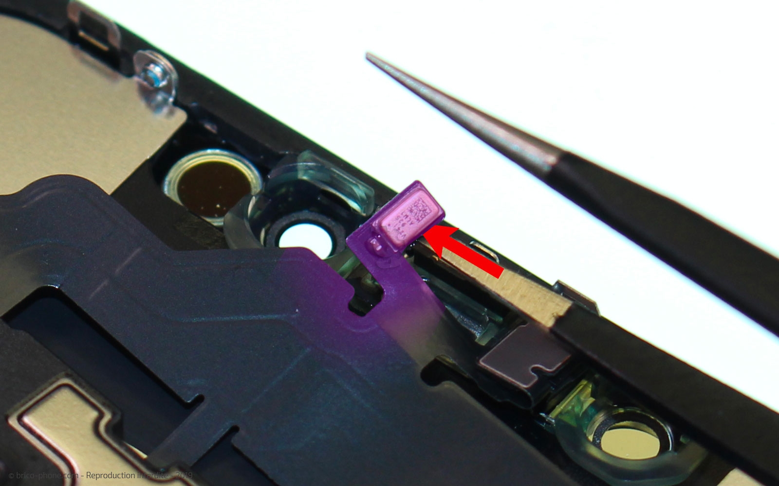 Remplacer l'écran (vitre et LCD) sur iPhone 11 photo 1