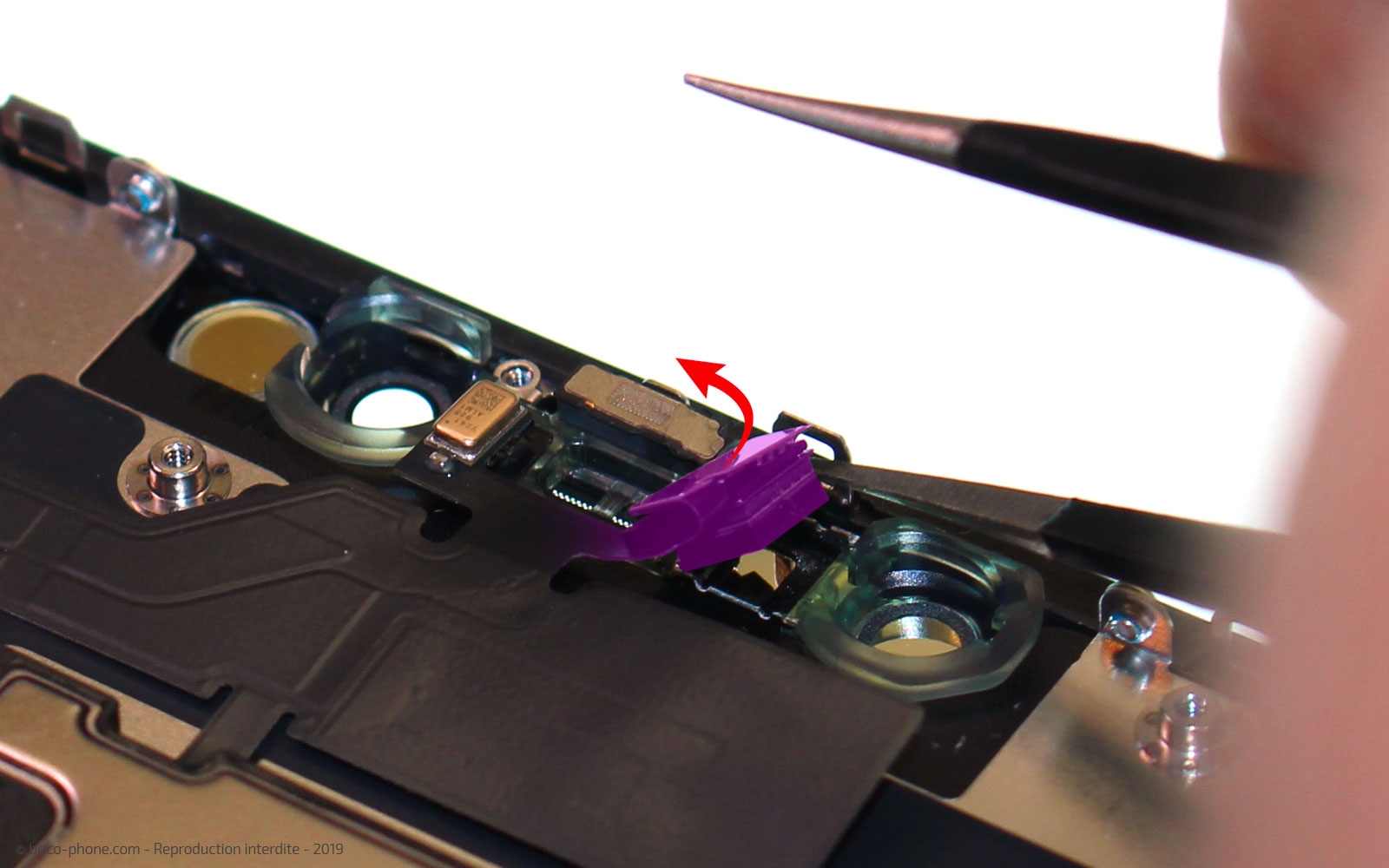 Remplacer l'écran (vitre et LCD) sur iPhone 11 photo 2