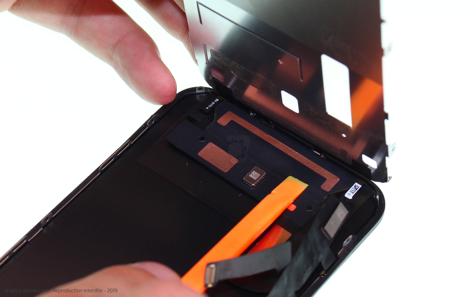 Remplacer l'écran (vitre et LCD) sur iPhone 11 photo 3