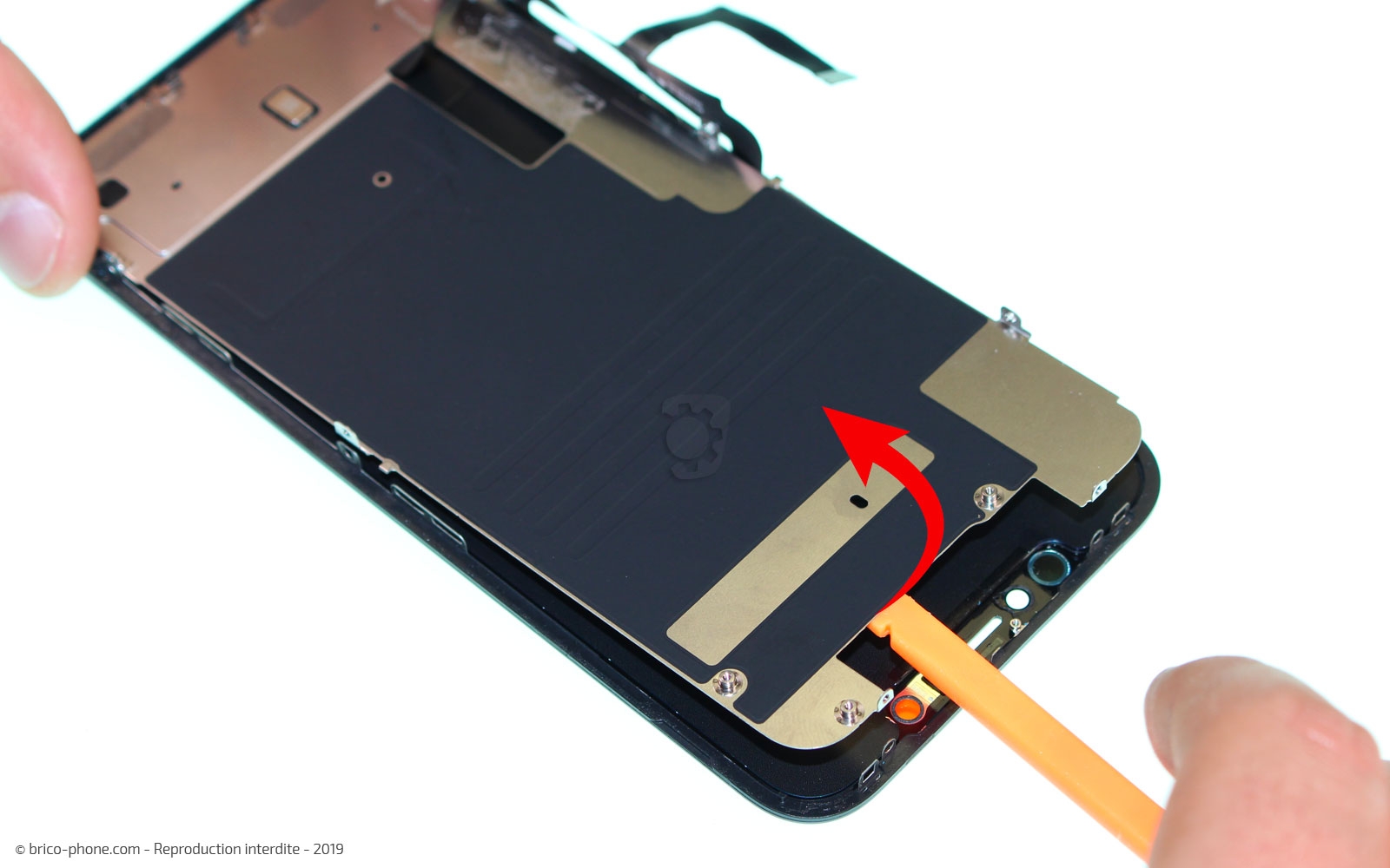 Remplacer l'écran (vitre et LCD) sur iPhone 11 photo 4