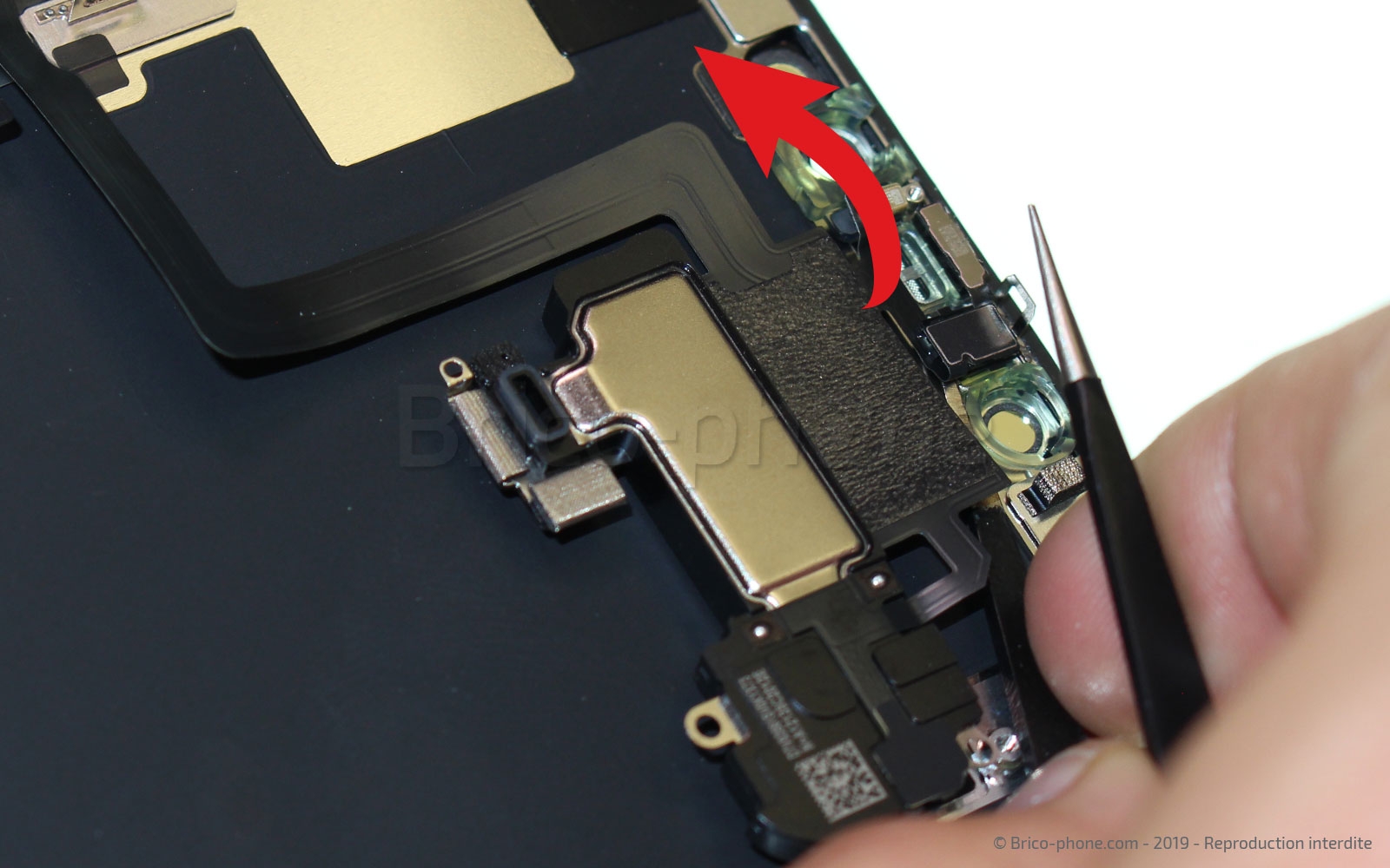 Remplacer l'écran (vitre et OLED)  sur iPhone 11 Pro Max photo 2