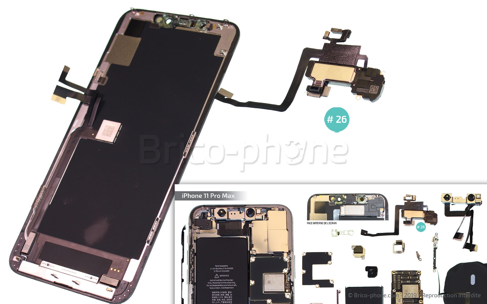 Remplacer l'écran (vitre et OLED)  sur iPhone 11 Pro Max photo 4