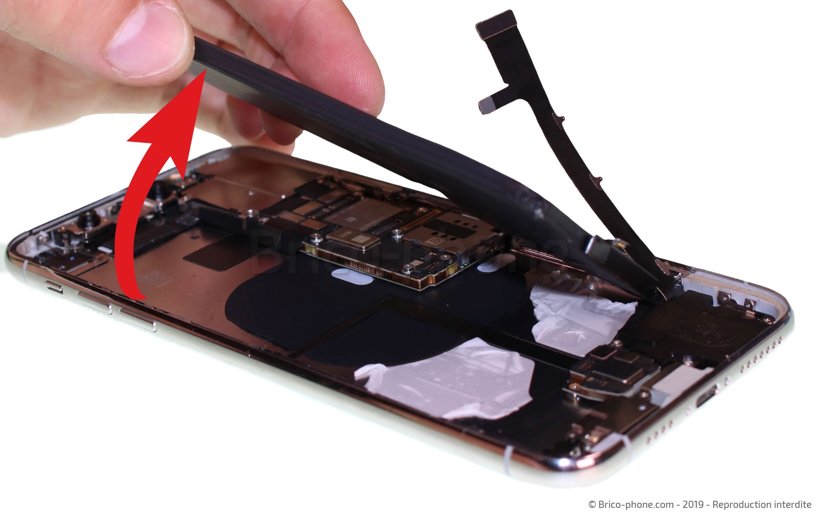 Remplacer la batterie  sur iPhone 11 Pro Max photo 3