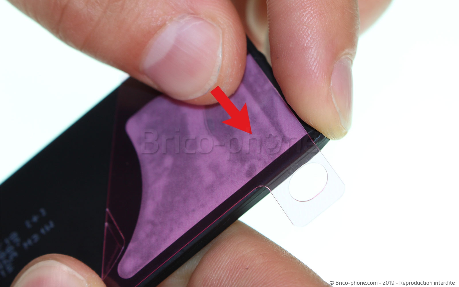 Remplacer la batterie  sur iPhone 11 Pro Max photo 2