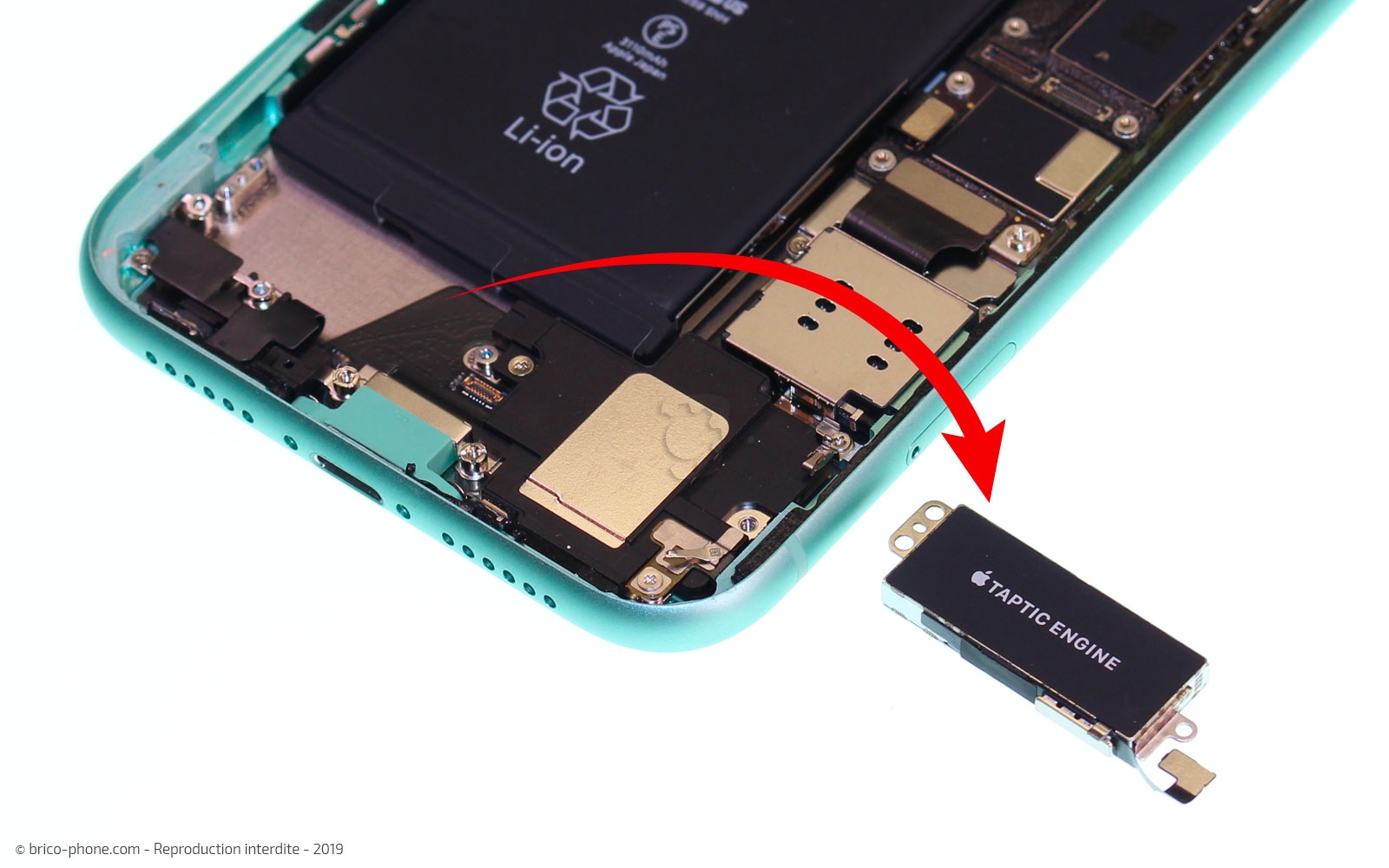 Changement de batterie sur iPhone 11 photo 4