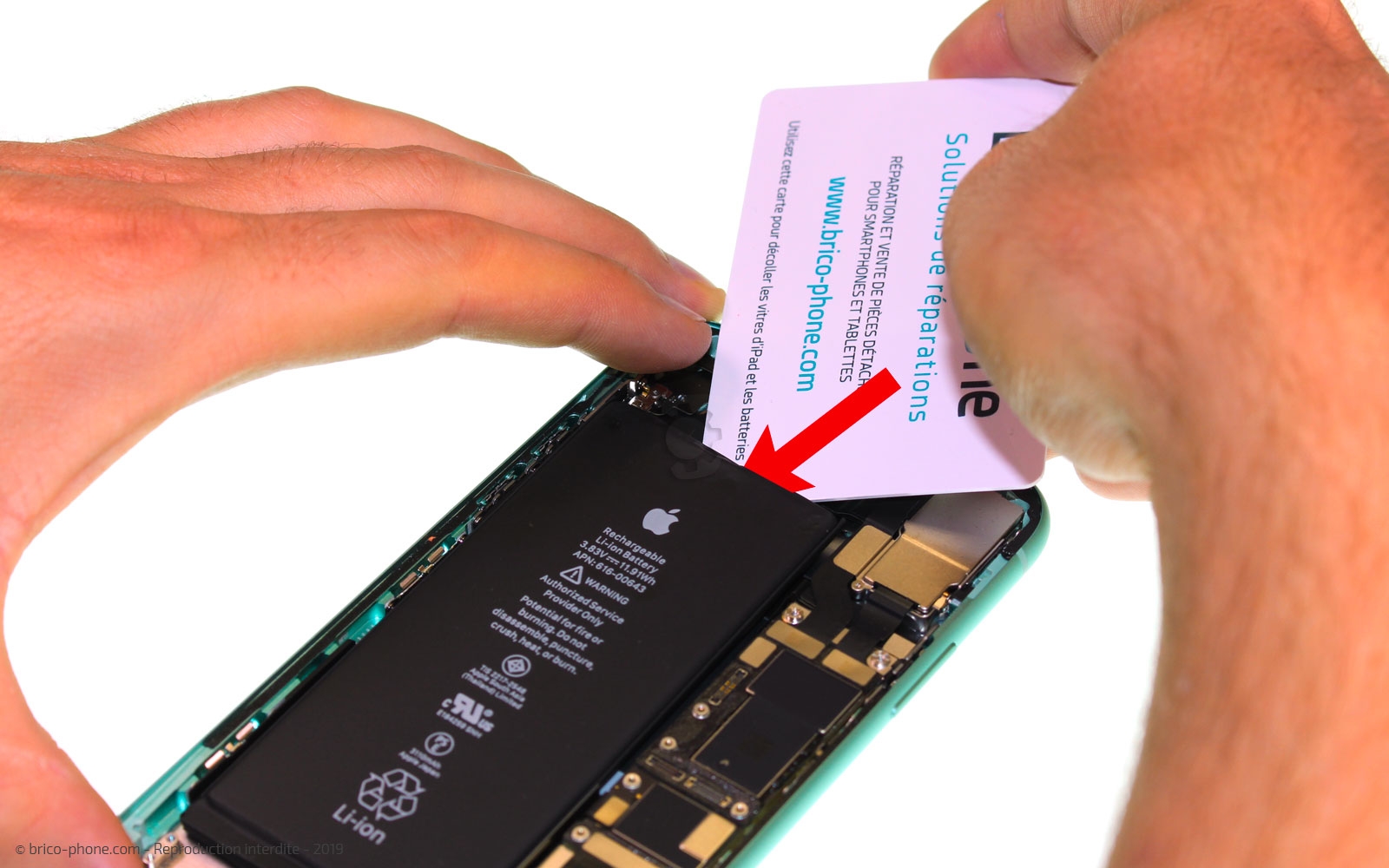 Changement de batterie sur iPhone 11 photo 1