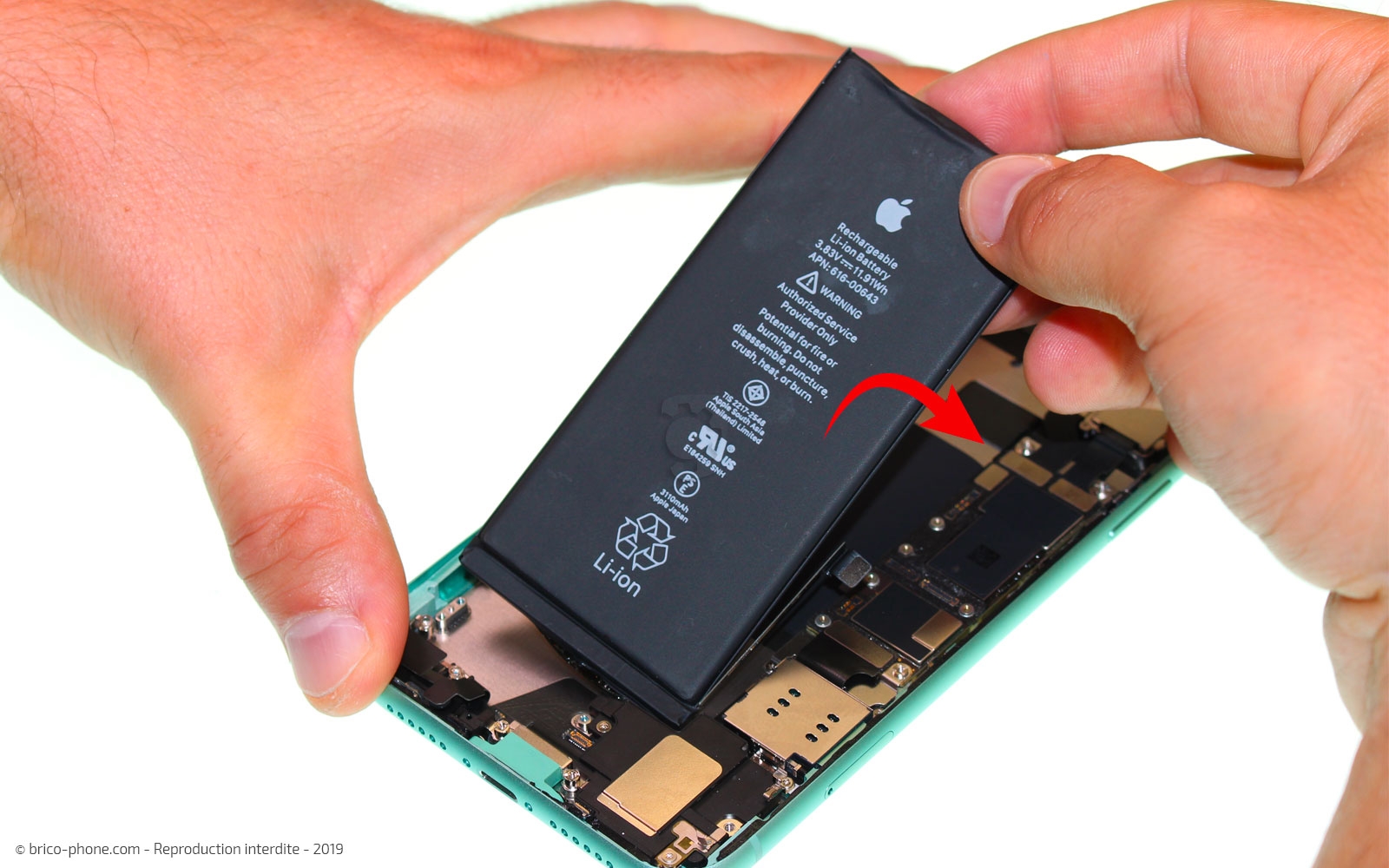 Changement de batterie sur iPhone 11 photo 2
