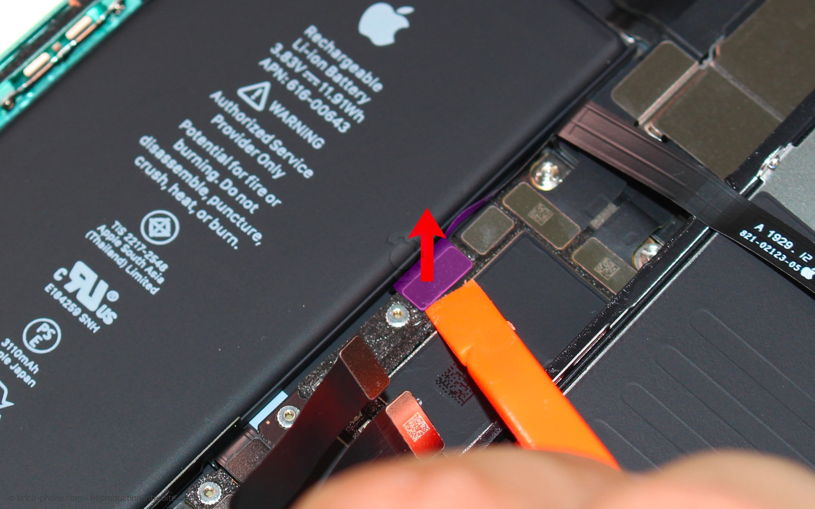 Changement de batterie sur iPhone 11 photo 2