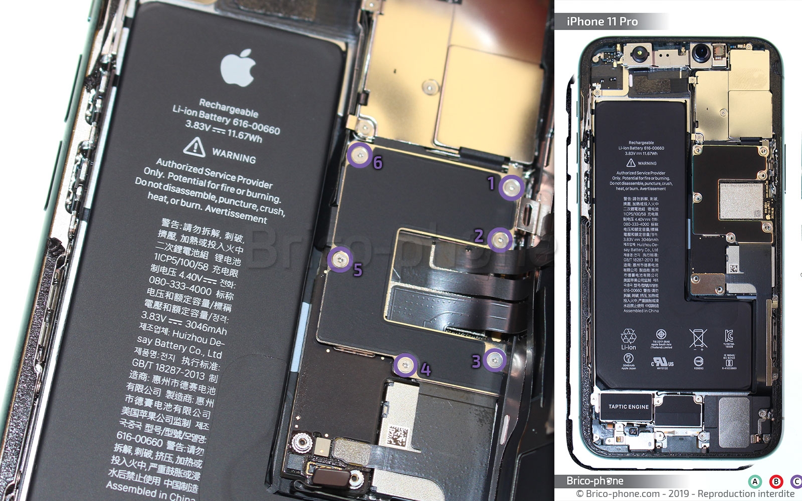 Changement de batterie sur iPhone 11 Pro photo 1