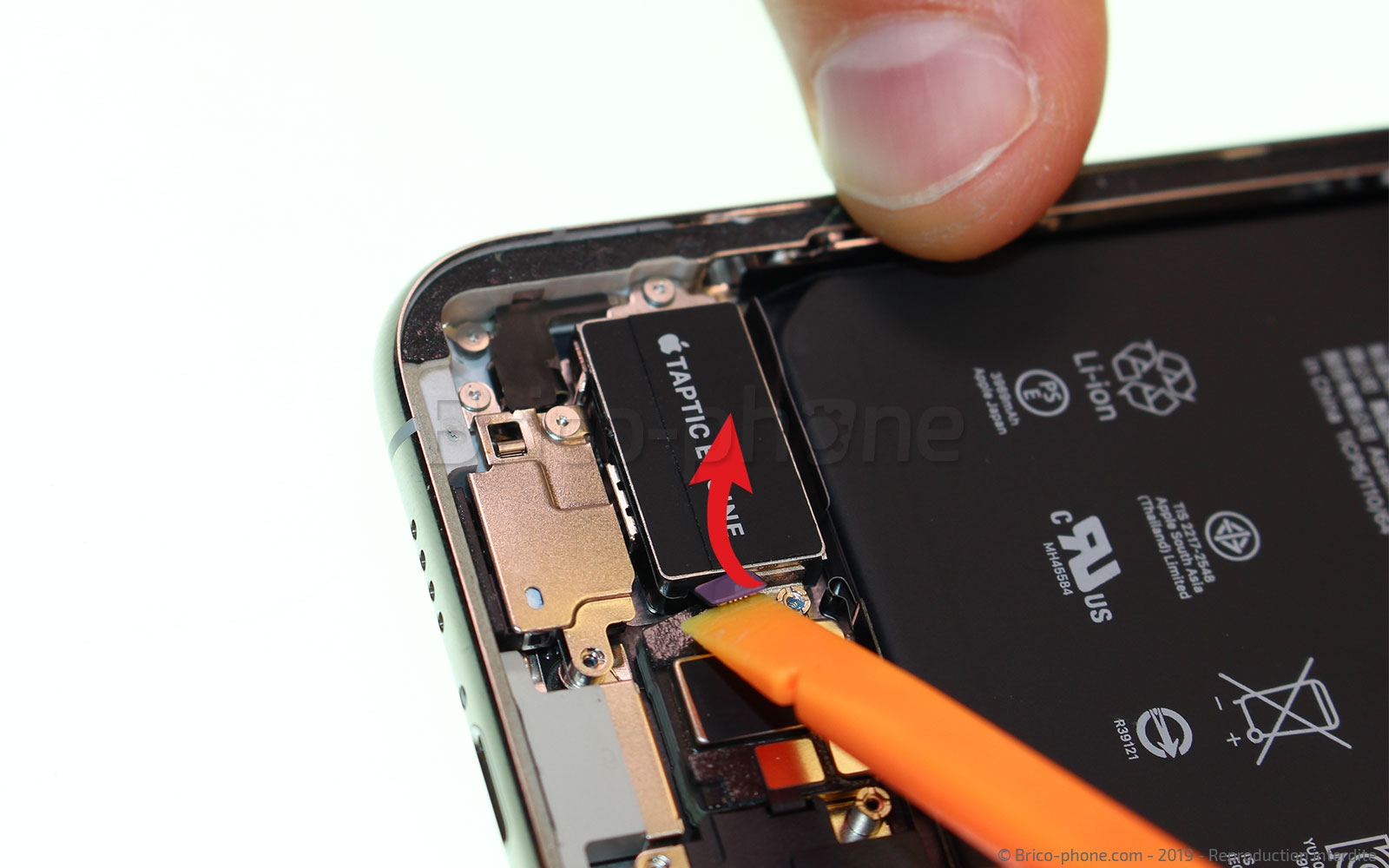 Démontage complet  sur iPhone 11 Pro Max photo 2