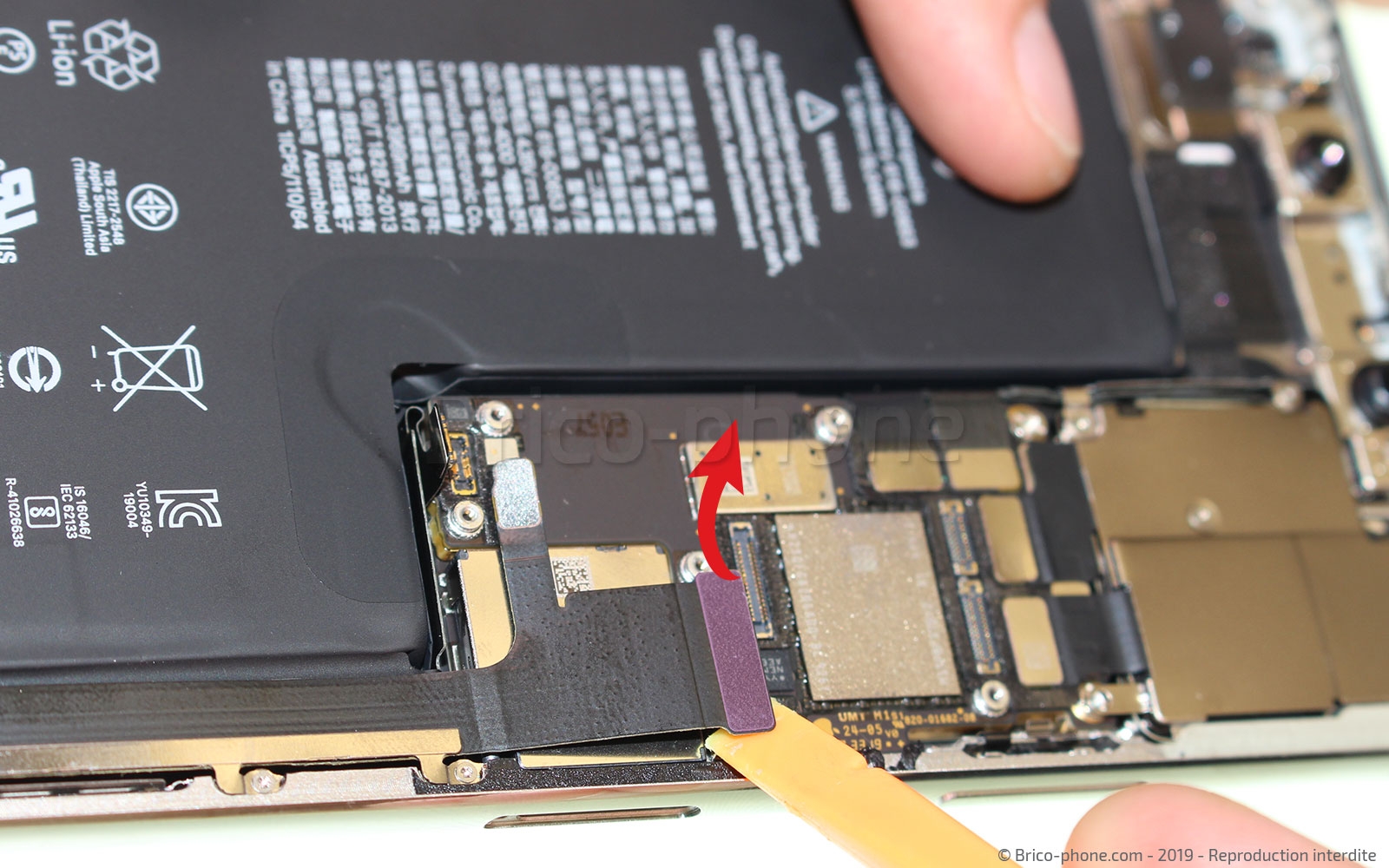 Démontage complet  sur iPhone 11 Pro Max photo 2