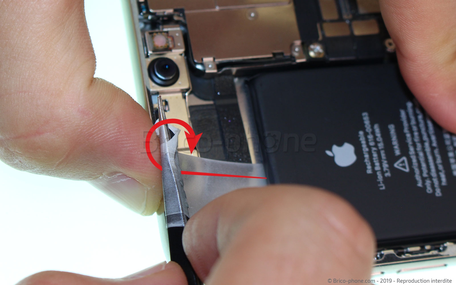 Démontage complet  sur iPhone 11 Pro Max photo 4