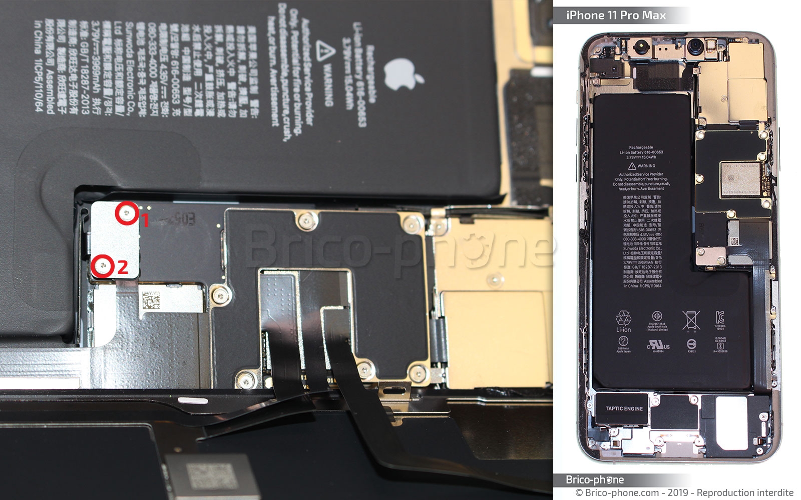 Démontage complet  sur iPhone 11 Pro Max photo 1