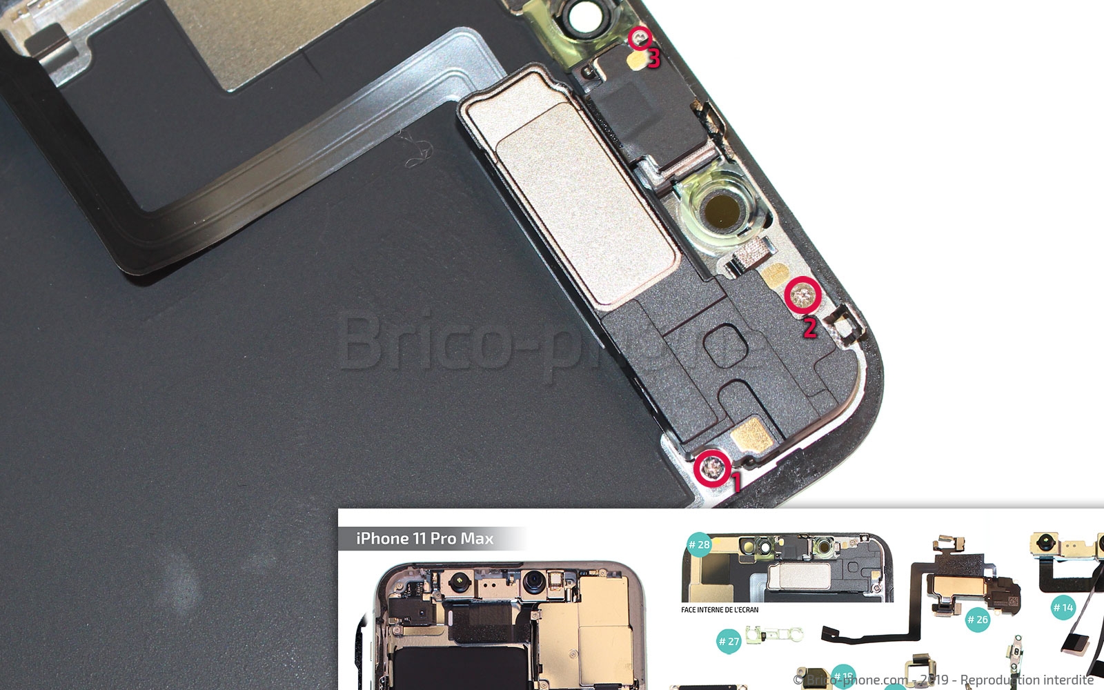 Démontage complet  sur iPhone 11 Pro Max photo 1