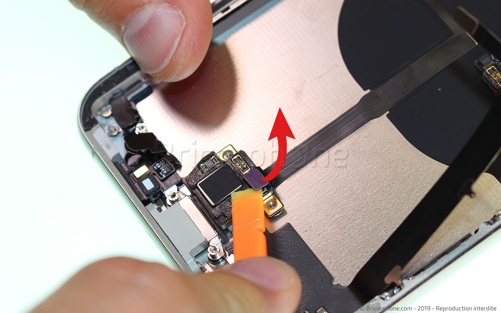 Démontage complet  sur iPhone 11 Pro Max photo 4
