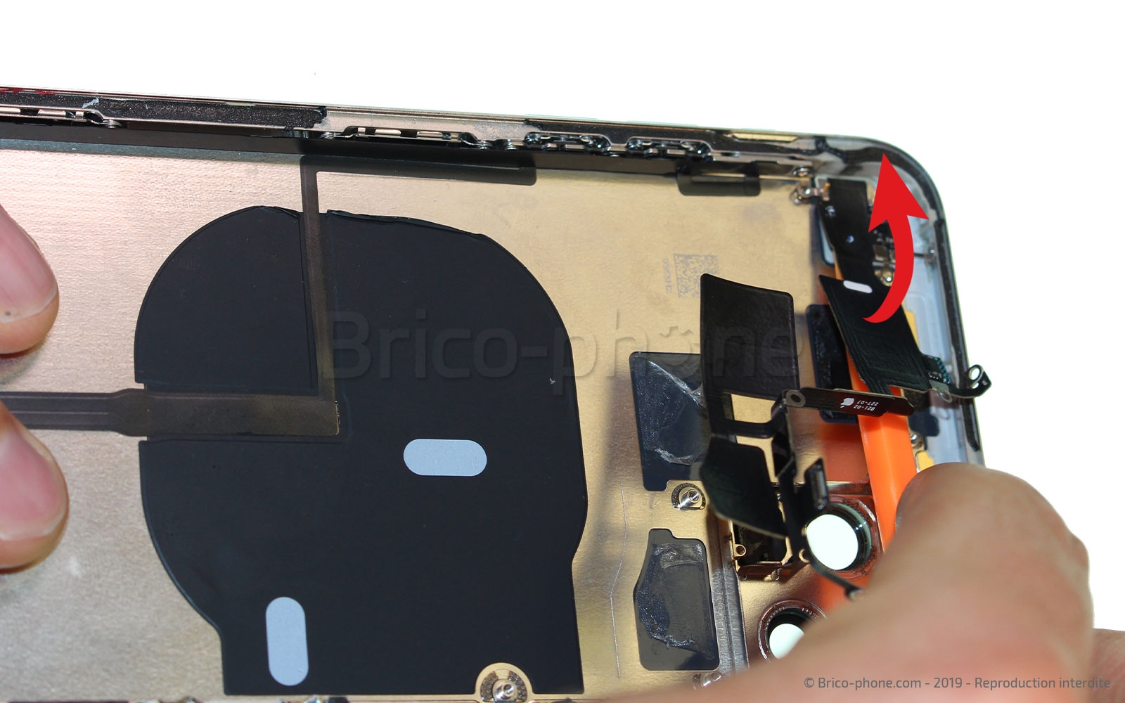 Démontage complet  sur iPhone 11 Pro Max photo 1