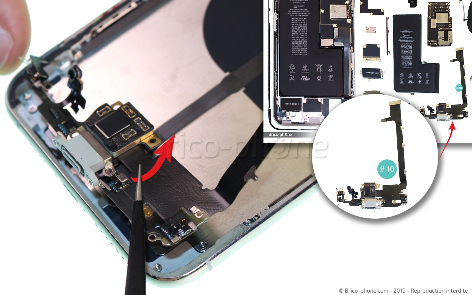 Démontage complet  sur iPhone 11 Pro Max photo 2